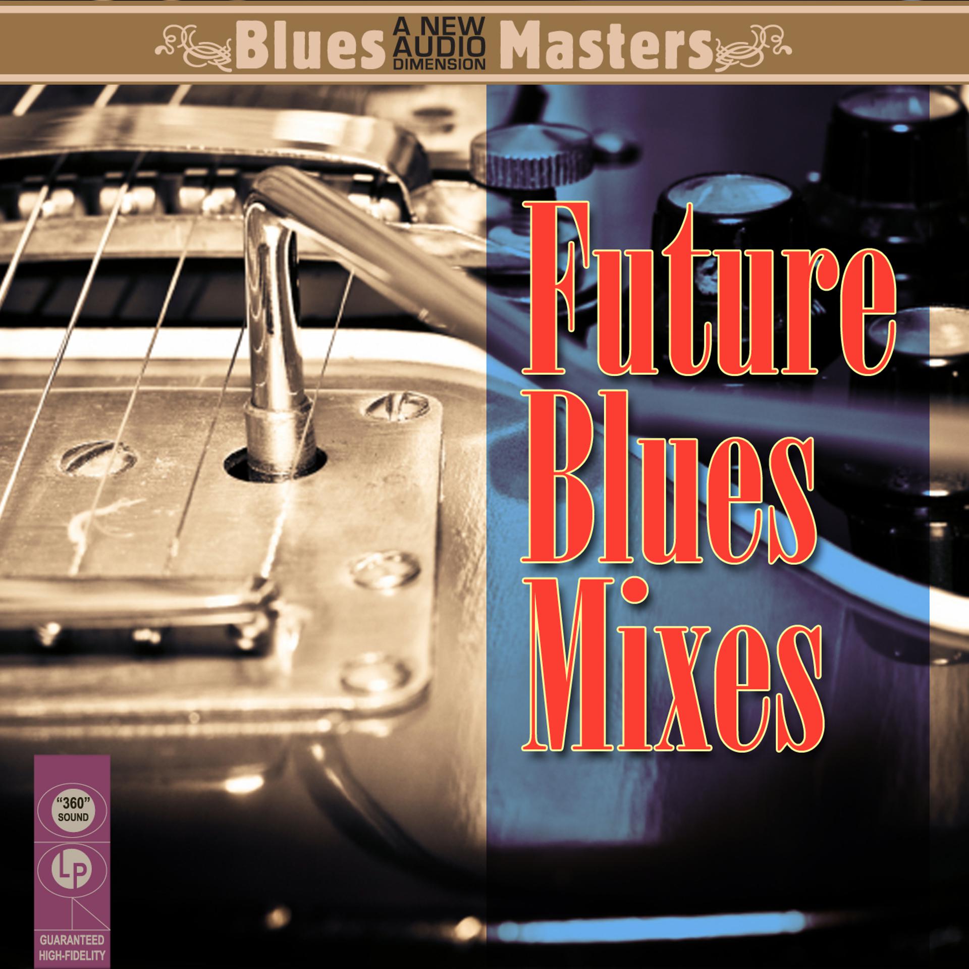 Постер альбома Future Blues Mixes