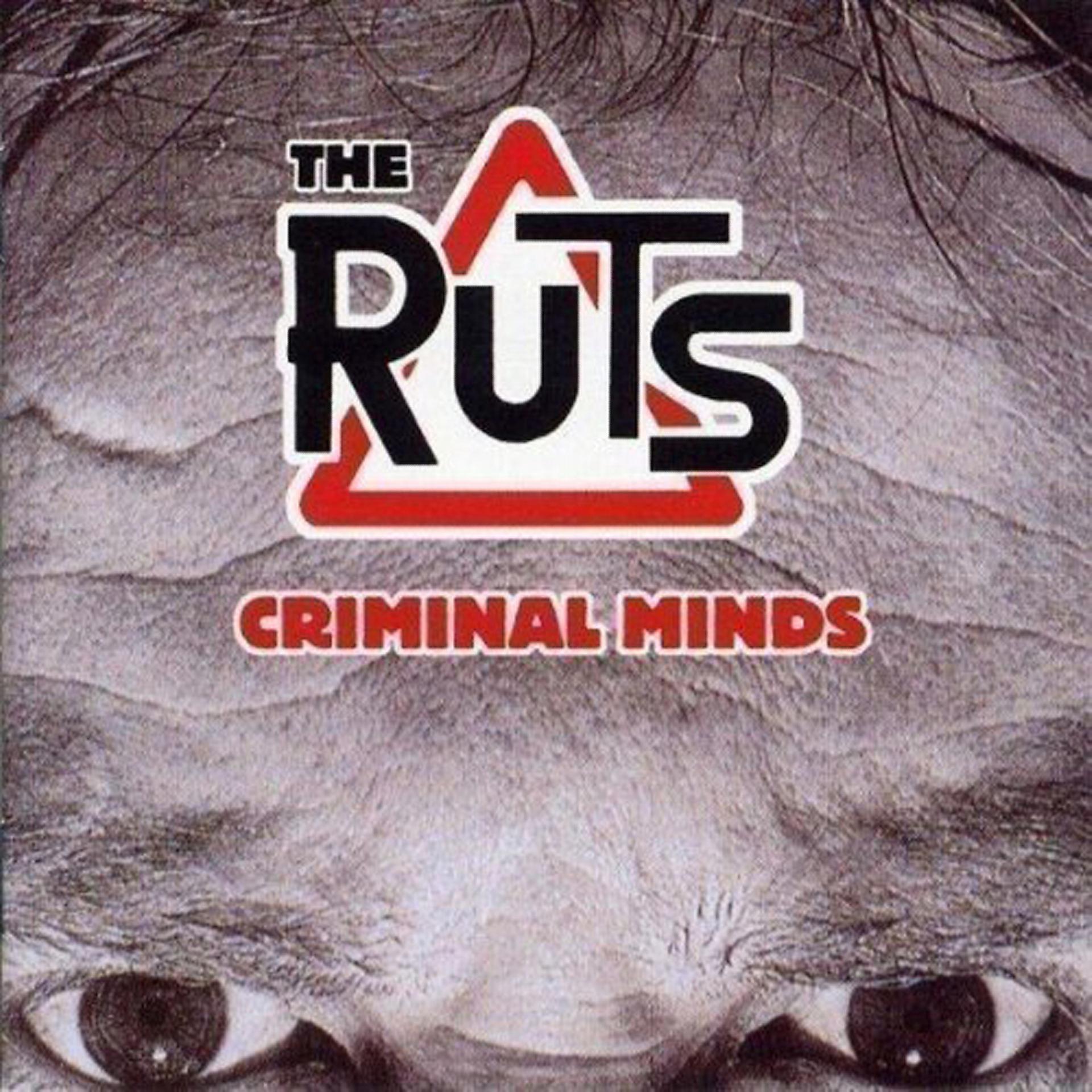 Постер альбома Criminal Minds