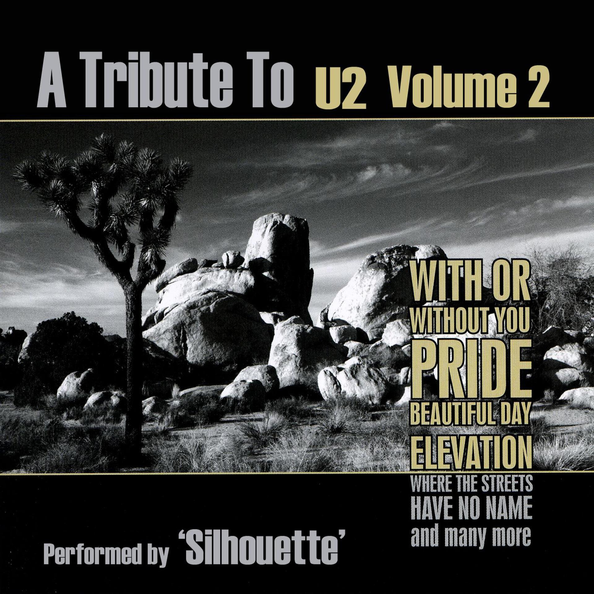 Постер альбома A Tribute to U2 Volume 2