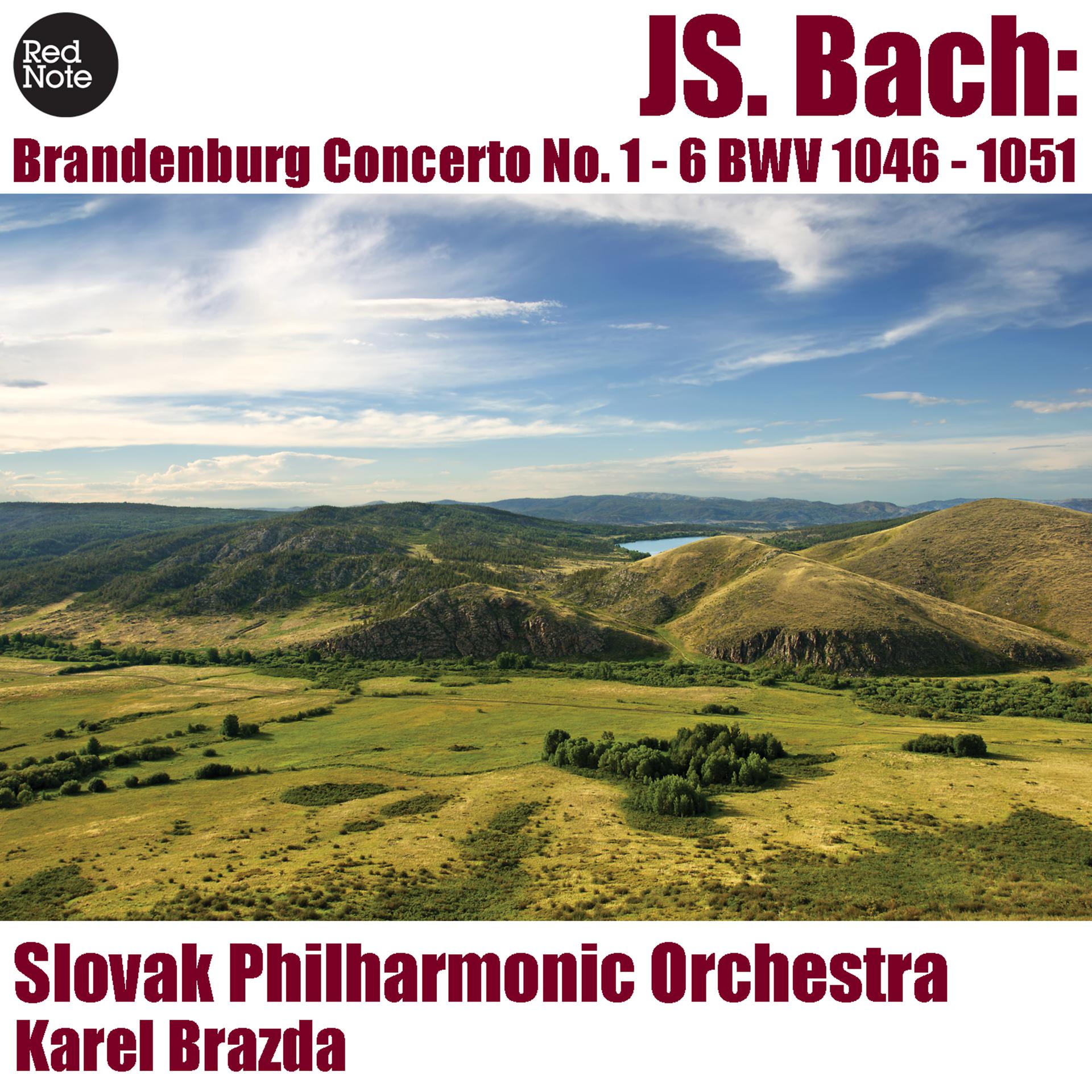 Постер альбома Bach: Brandenburg Concerto No. 1 - 6 BWV 1046 - 1051