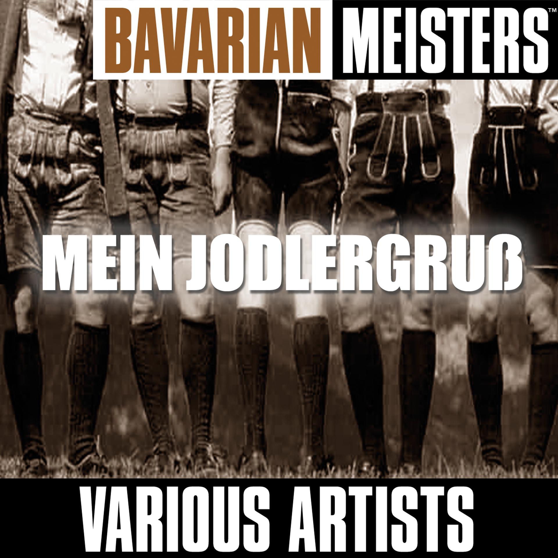 Постер альбома Bavarian Meisters: Mein Jodlergruß