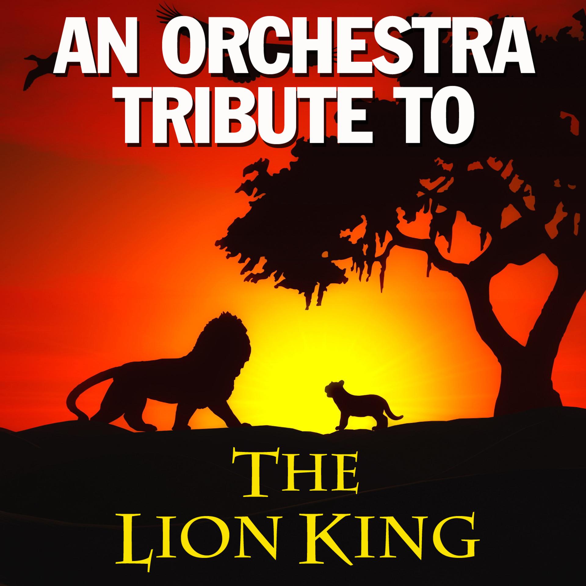 Постер альбома An Orchestra Tribute to the Lion King