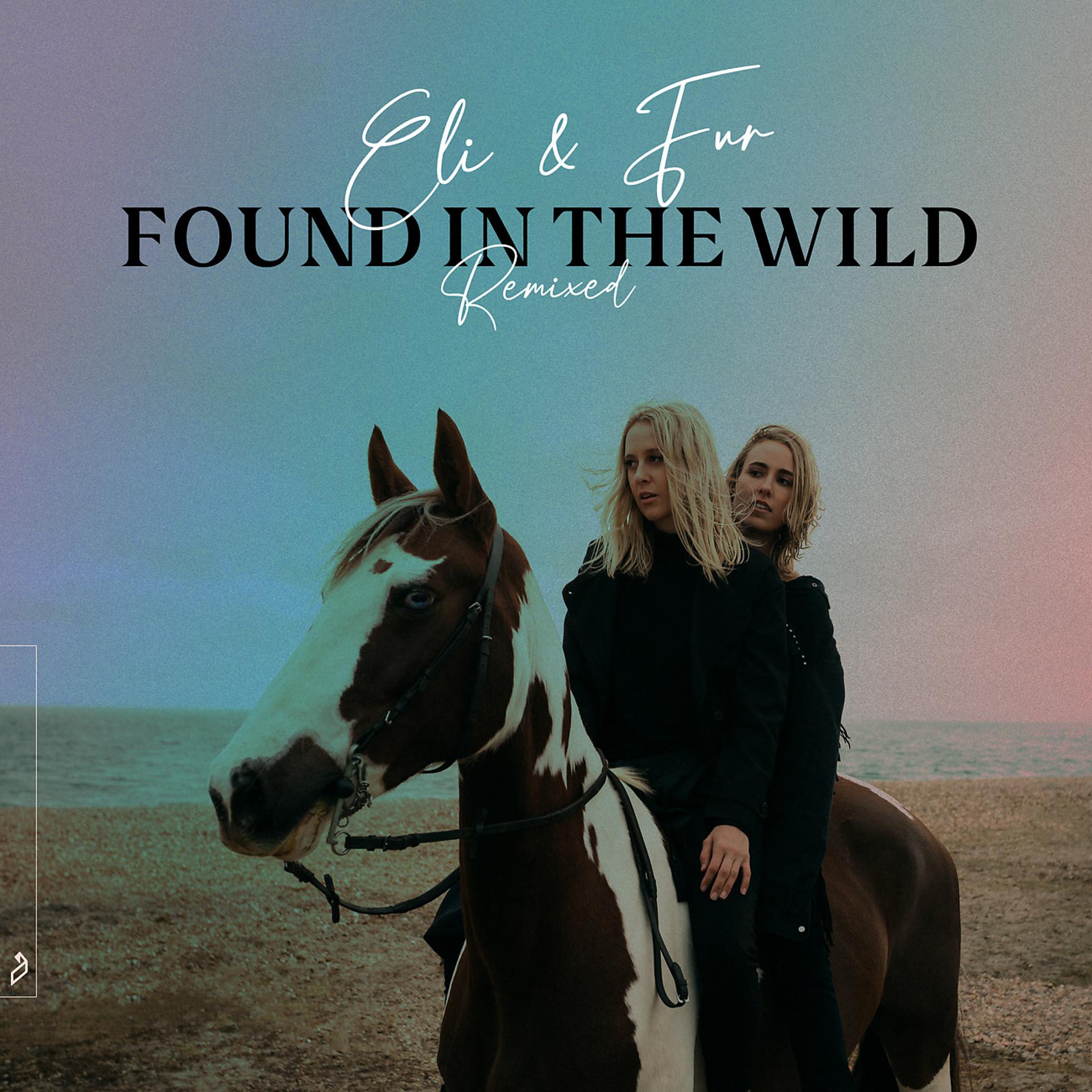 Постер альбома Found In The Wild (Remixed)