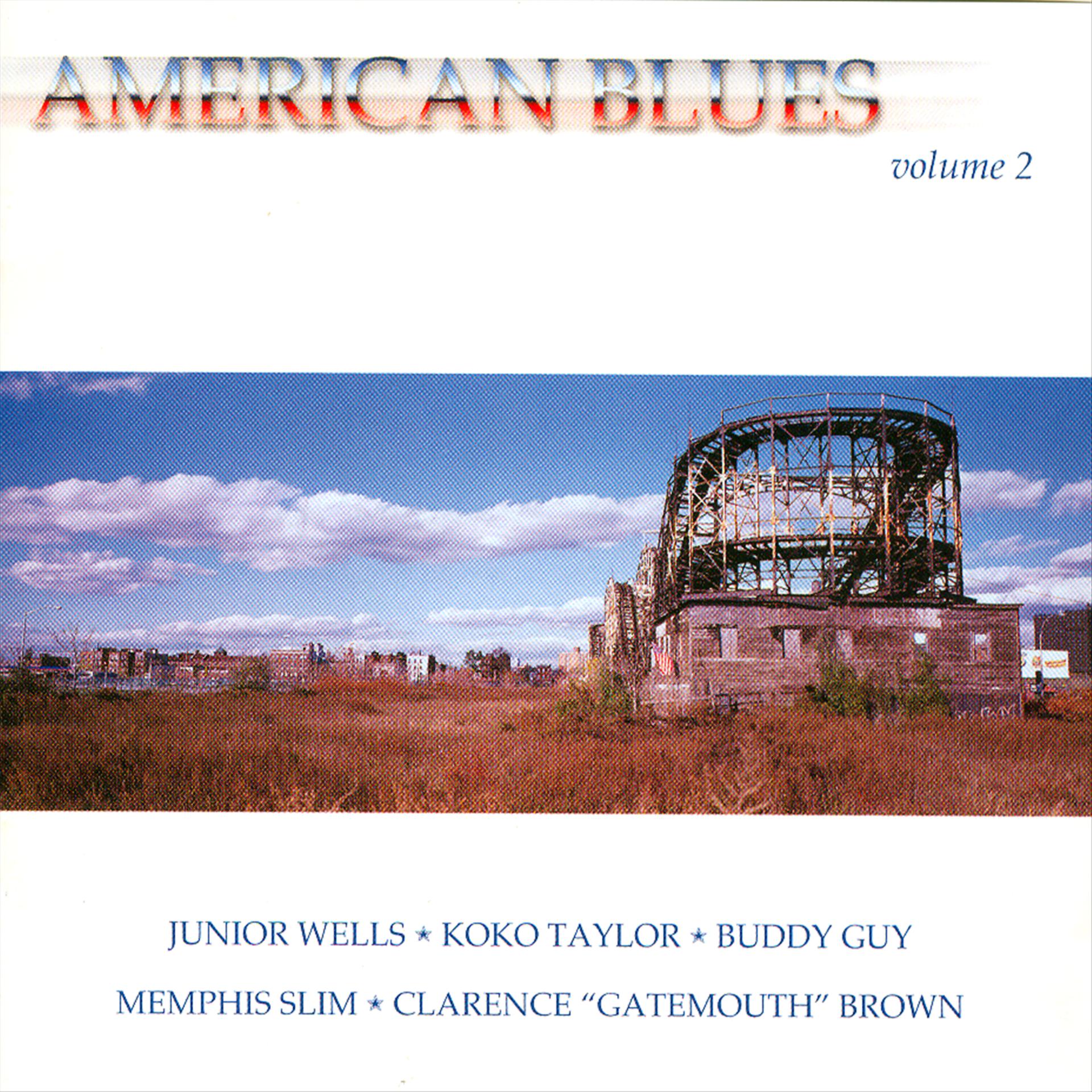 Постер альбома American Blues Volume 2