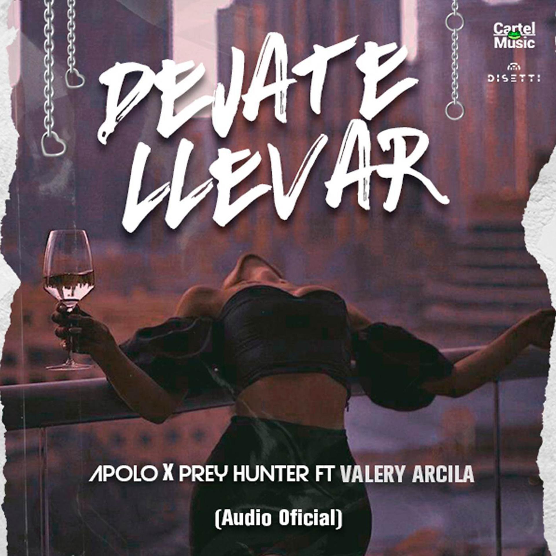 Постер альбома Déjate Llevar