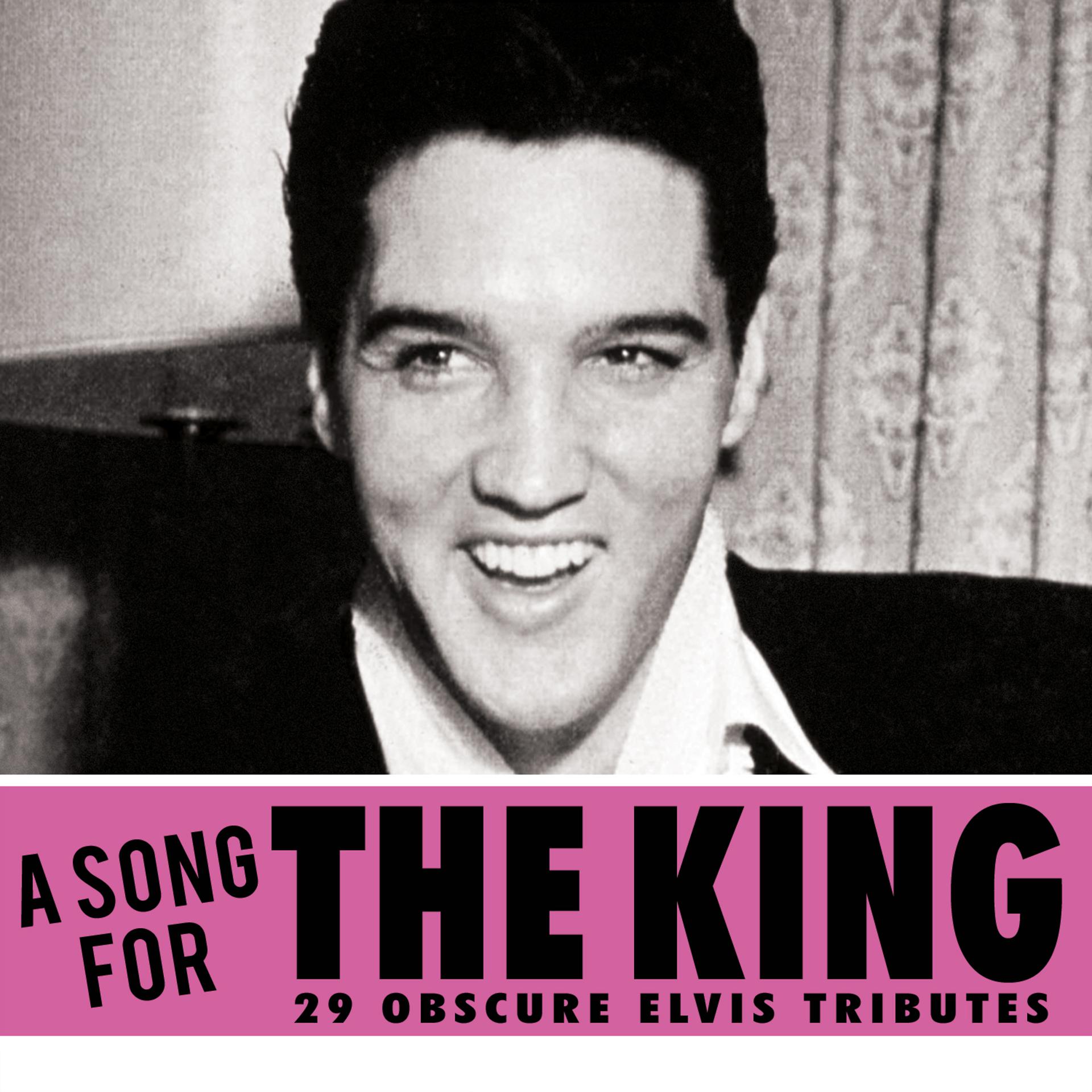 Постер альбома A Song For The King - 29 Obscure Elvis Tributes
