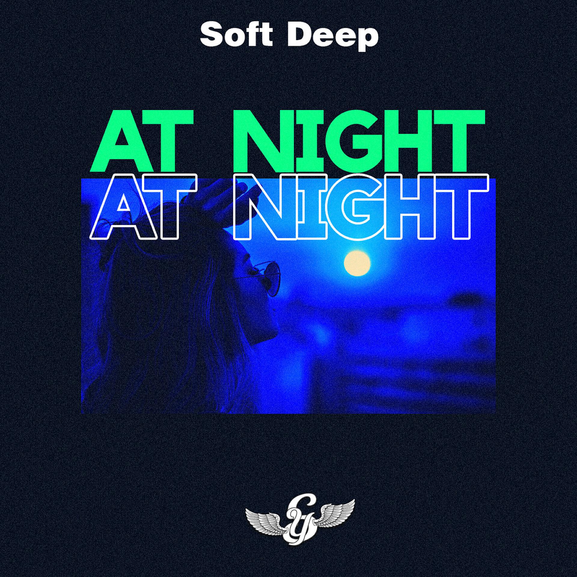 Постер альбома At Night