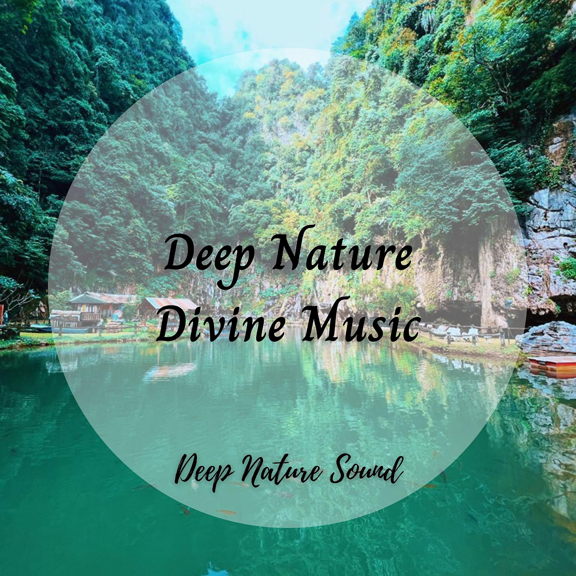 Постер альбома Deep Nature Sound: Deep Nature Divine Music