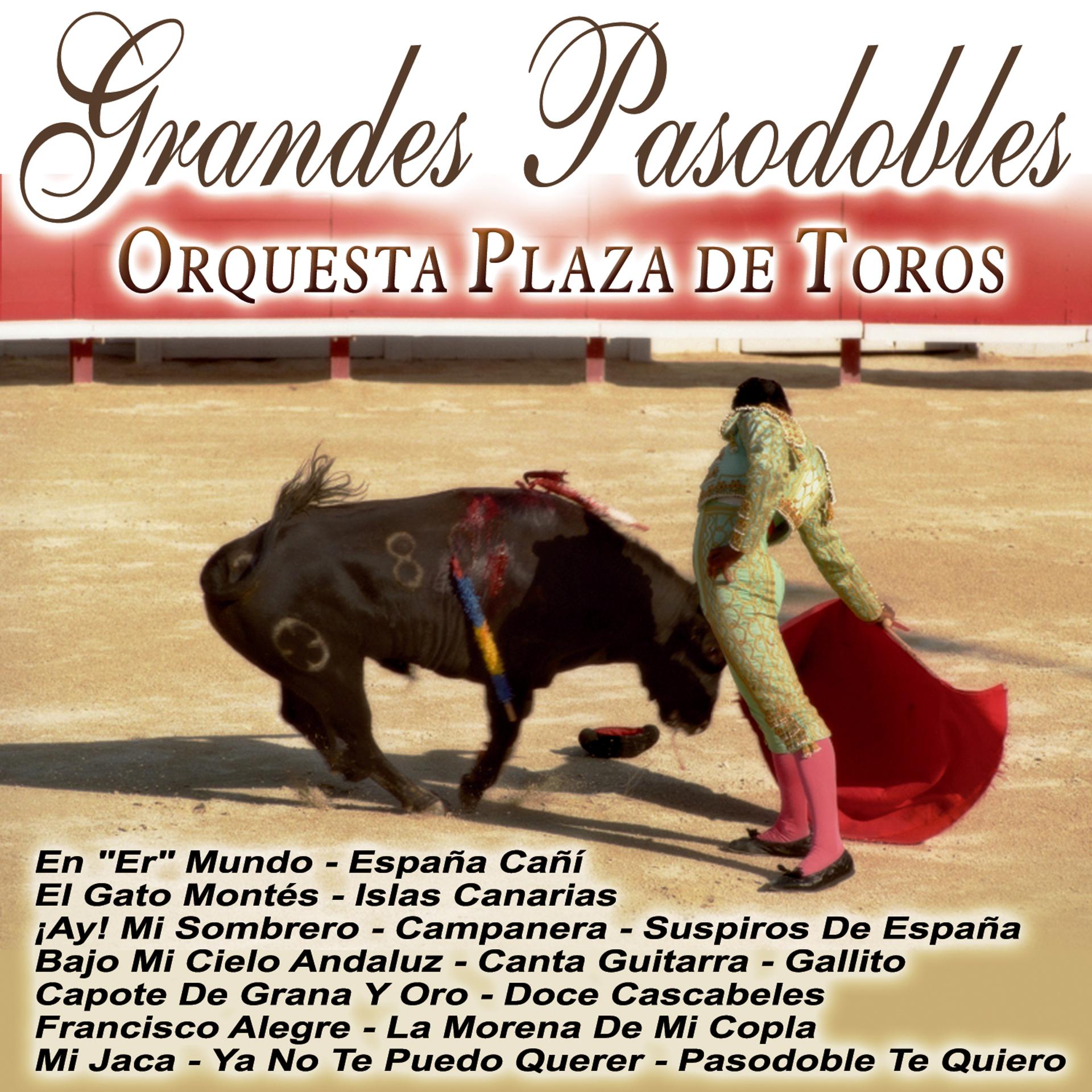 Постер альбома Grandes Pasodobles