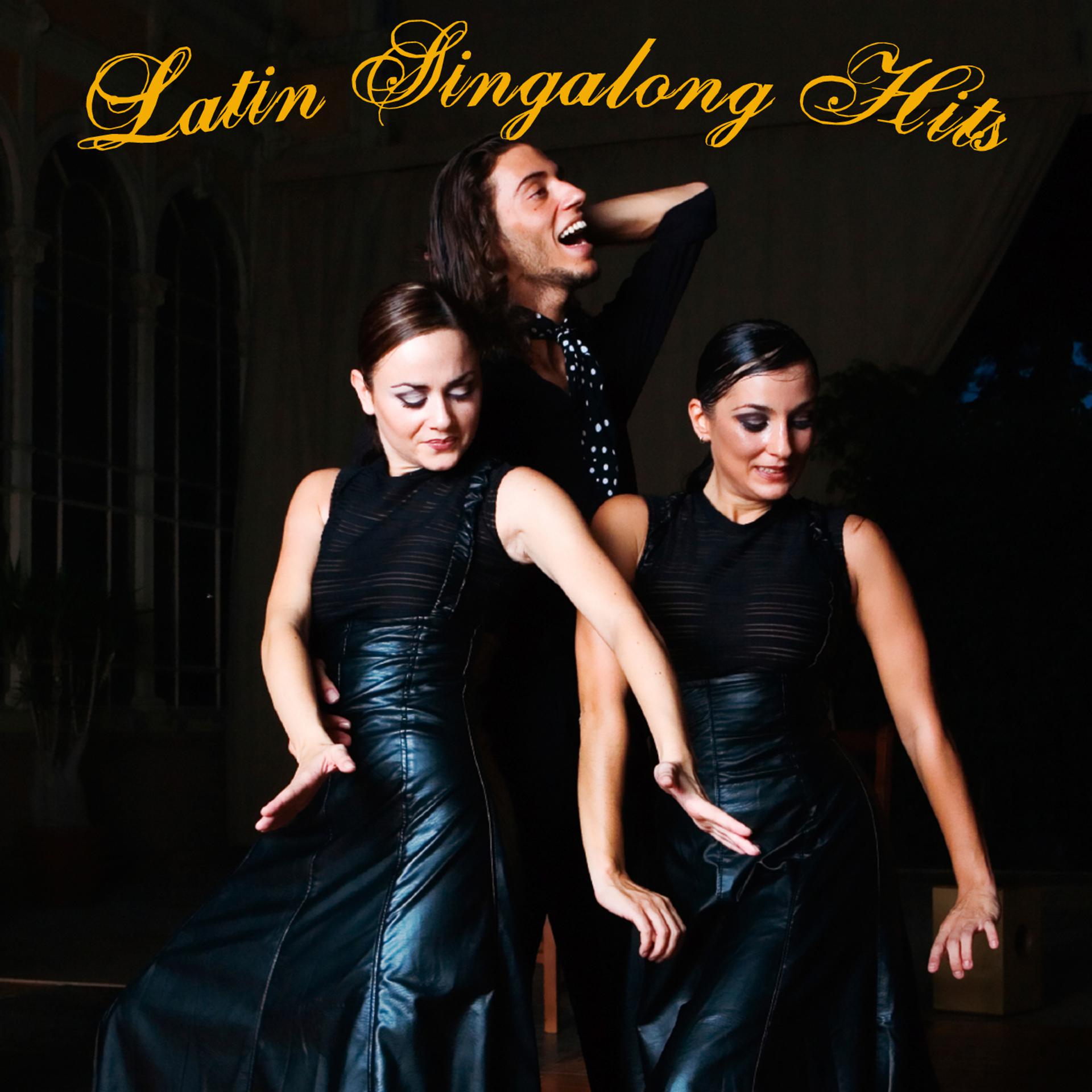 Постер альбома Latin Singalong Hits
