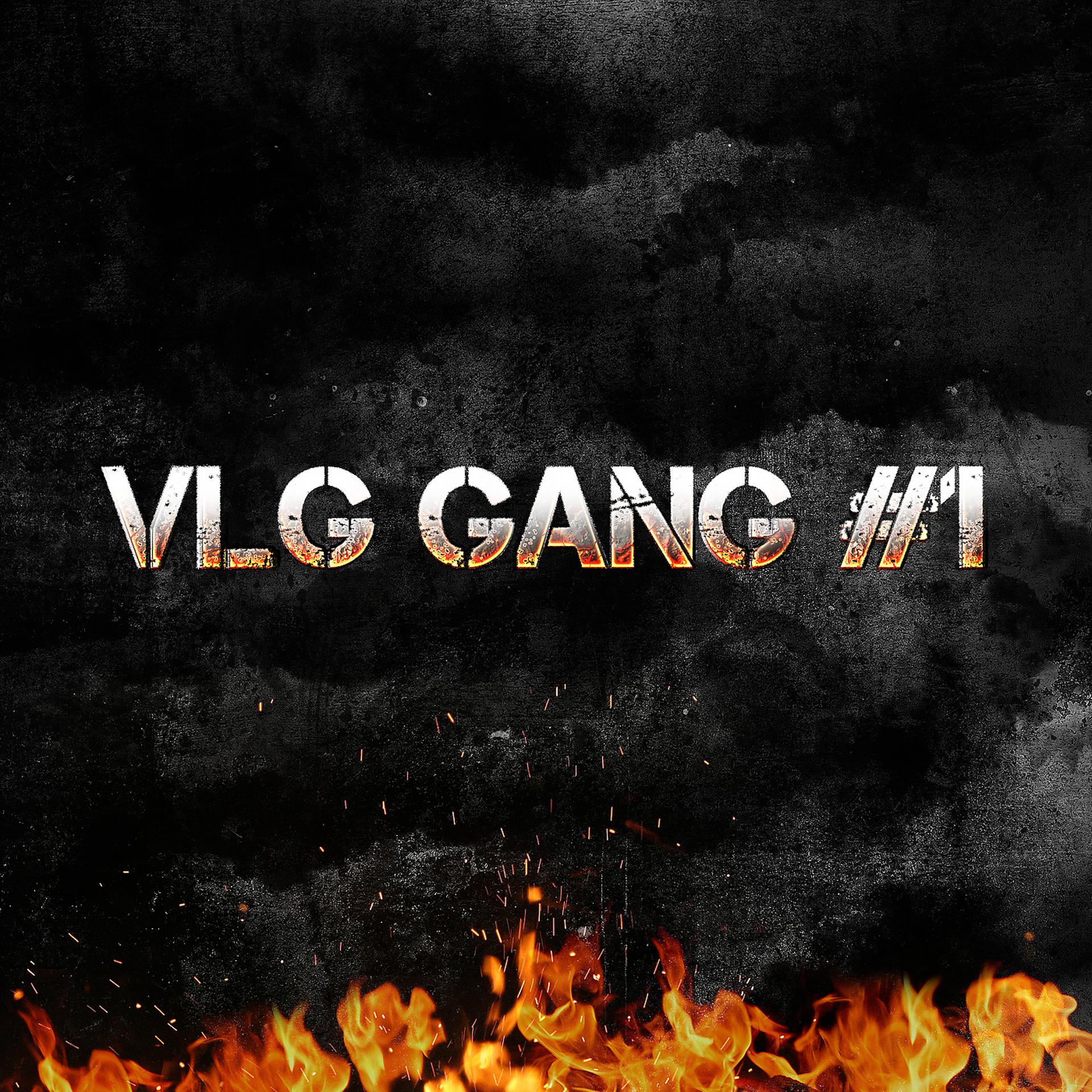 Постер альбома VLG Gang, Pt. 1