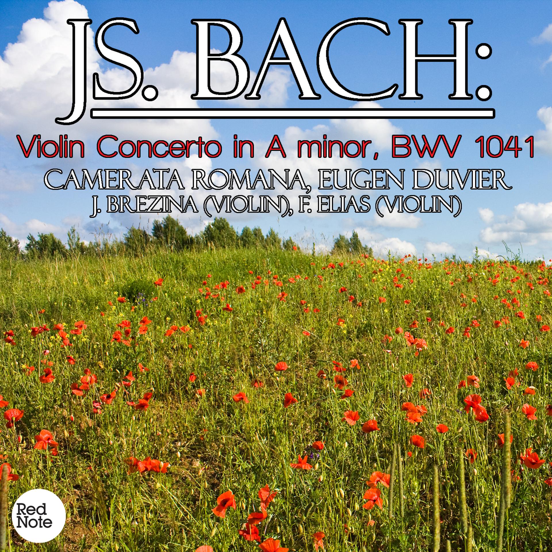 Постер альбома Bach: Violin Concerto in A minor, BWV 1041