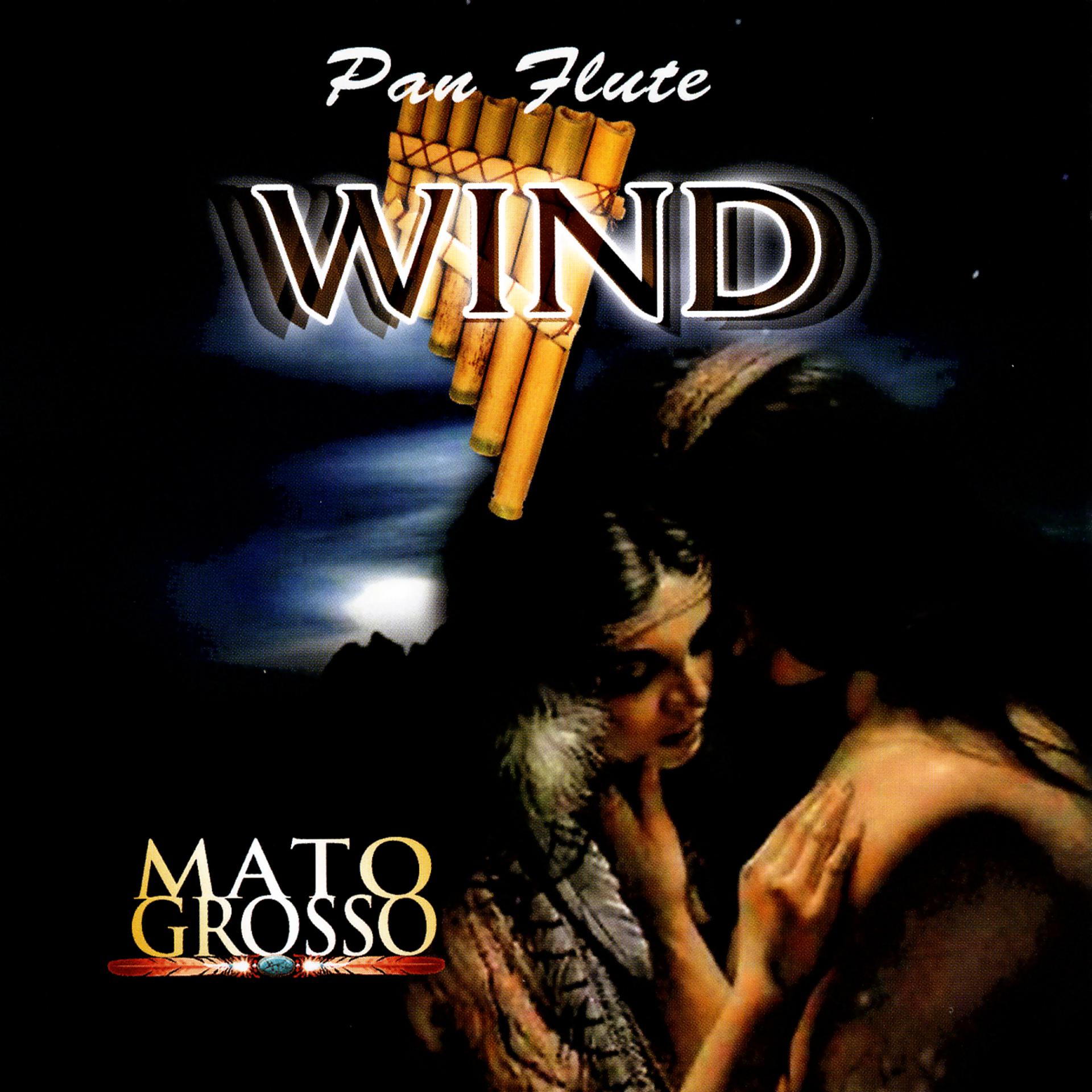 Постер альбома Pan Flute Wind