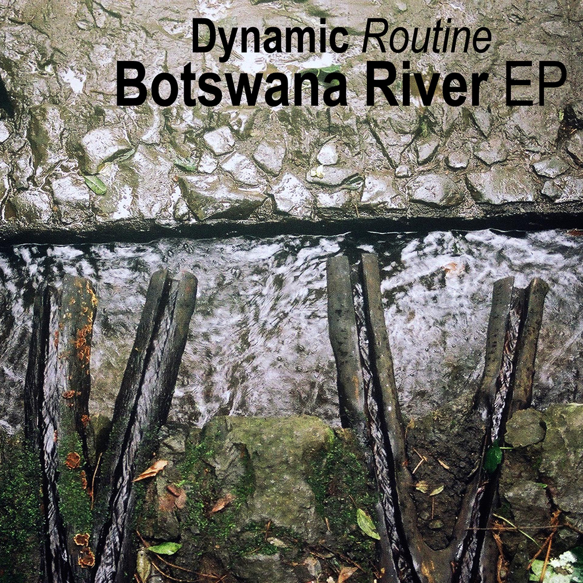 Постер альбома Botswana River