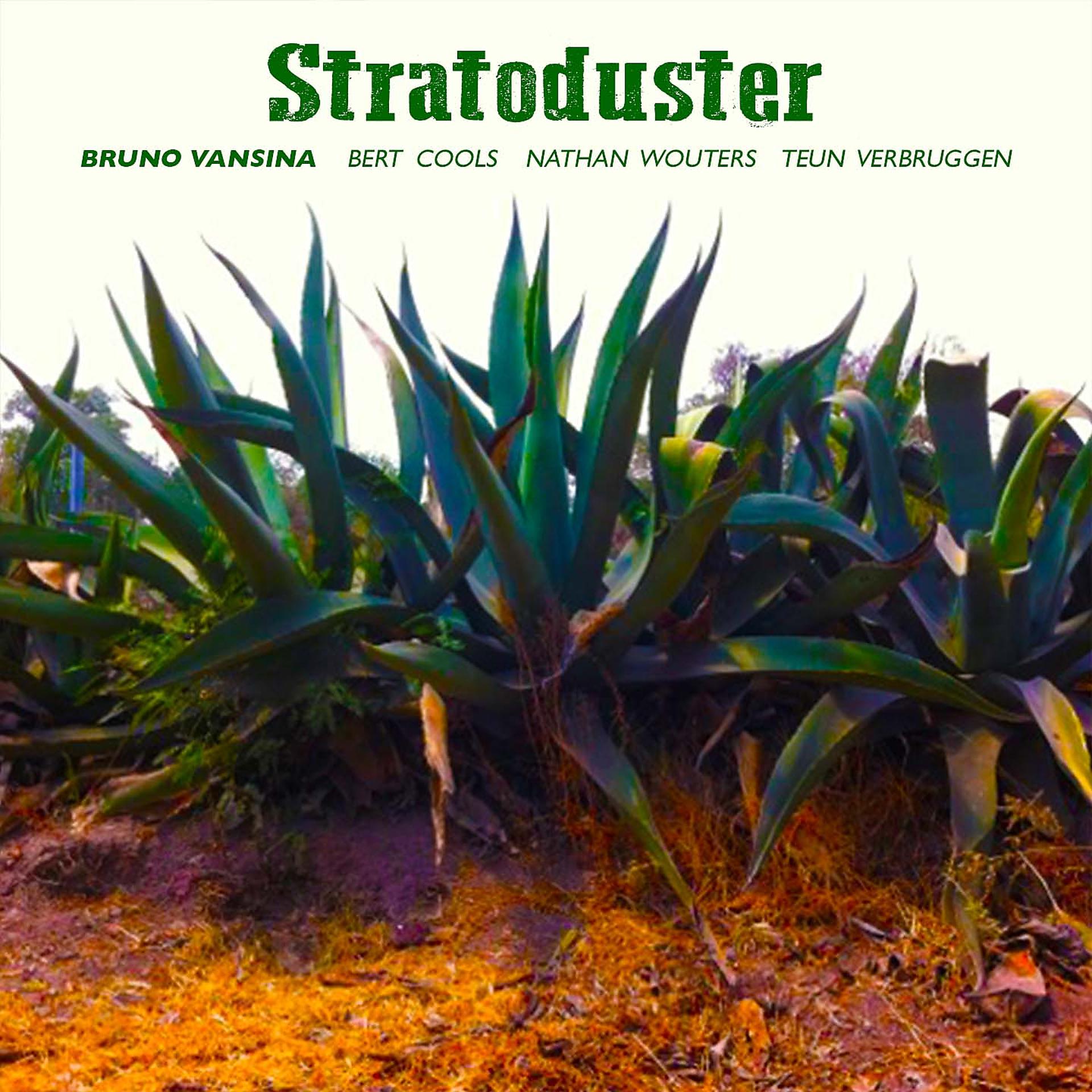 Постер альбома Stratoduster