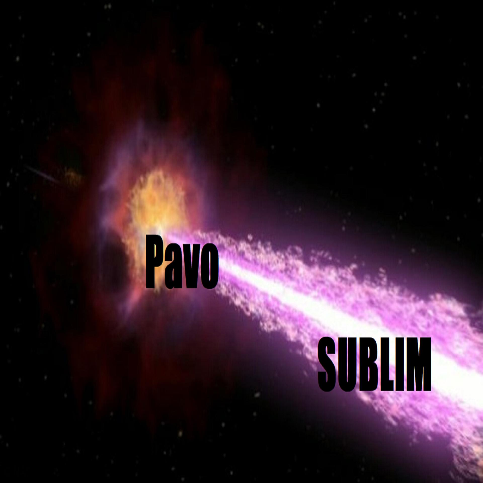 Постер альбома Pavo
