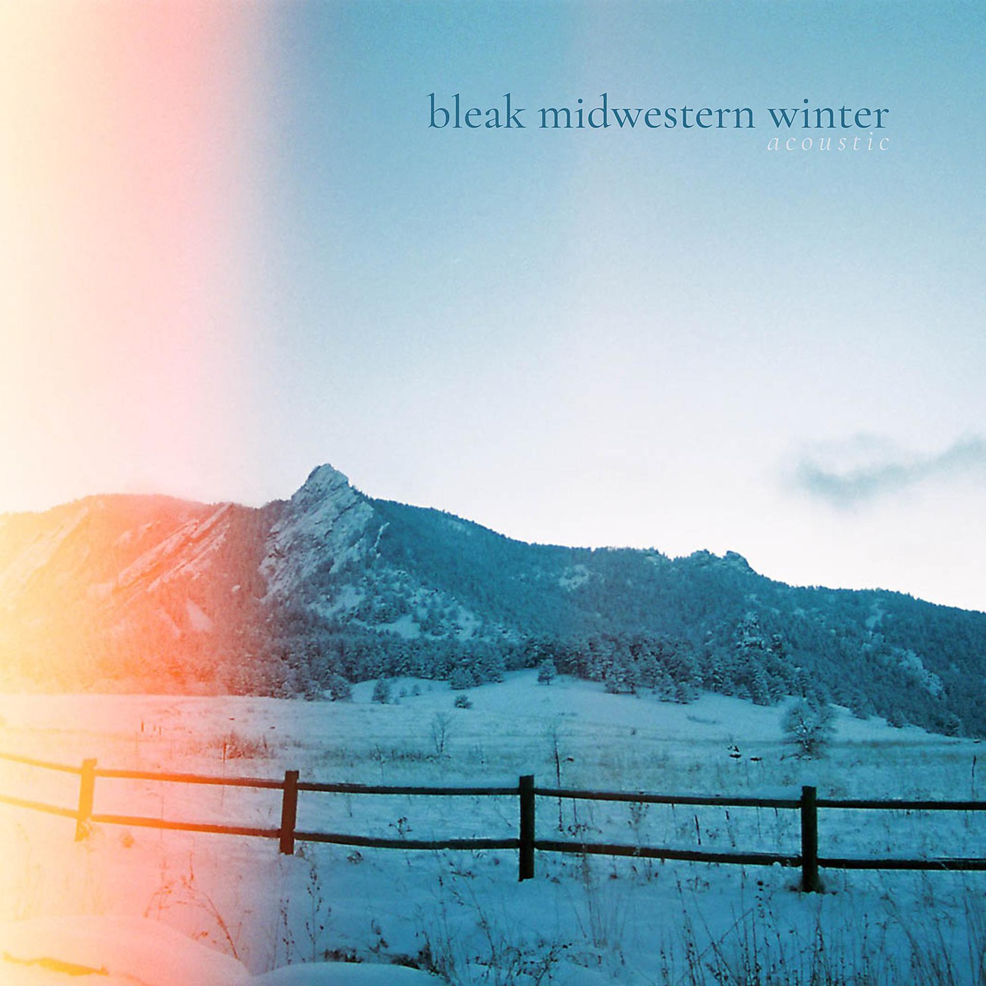 Постер альбома Bleak Midwestern Winter