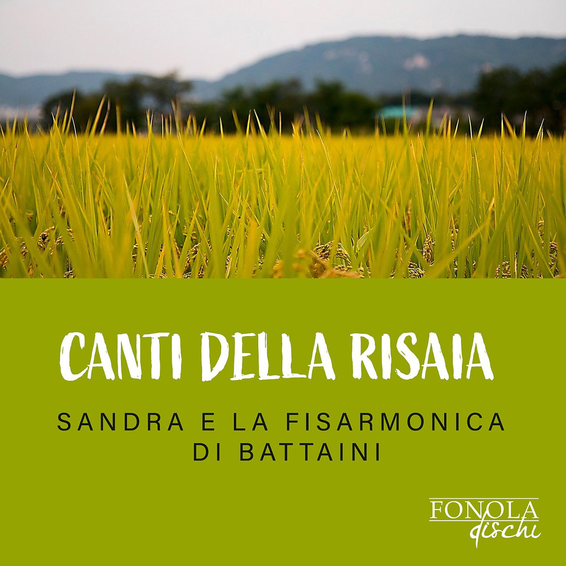 Постер альбома Canti della risaia