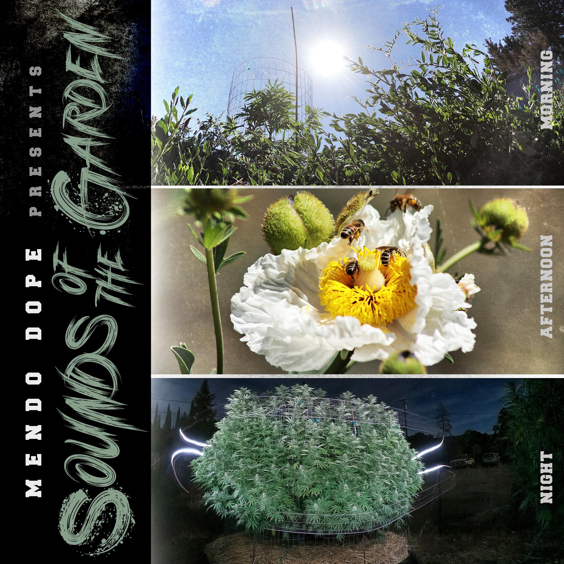 Постер альбома Sounds of the Garden