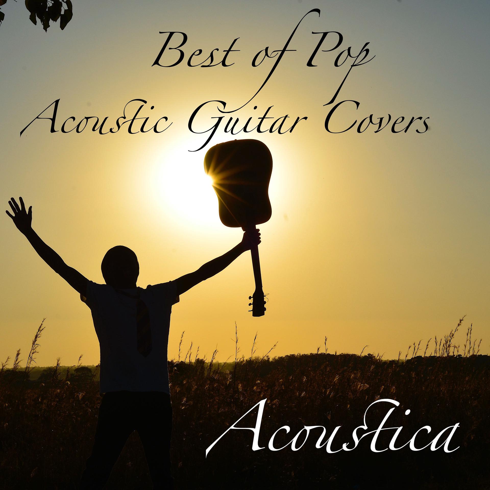 Постер альбома Best of Pop Acoustic Guitar Covers