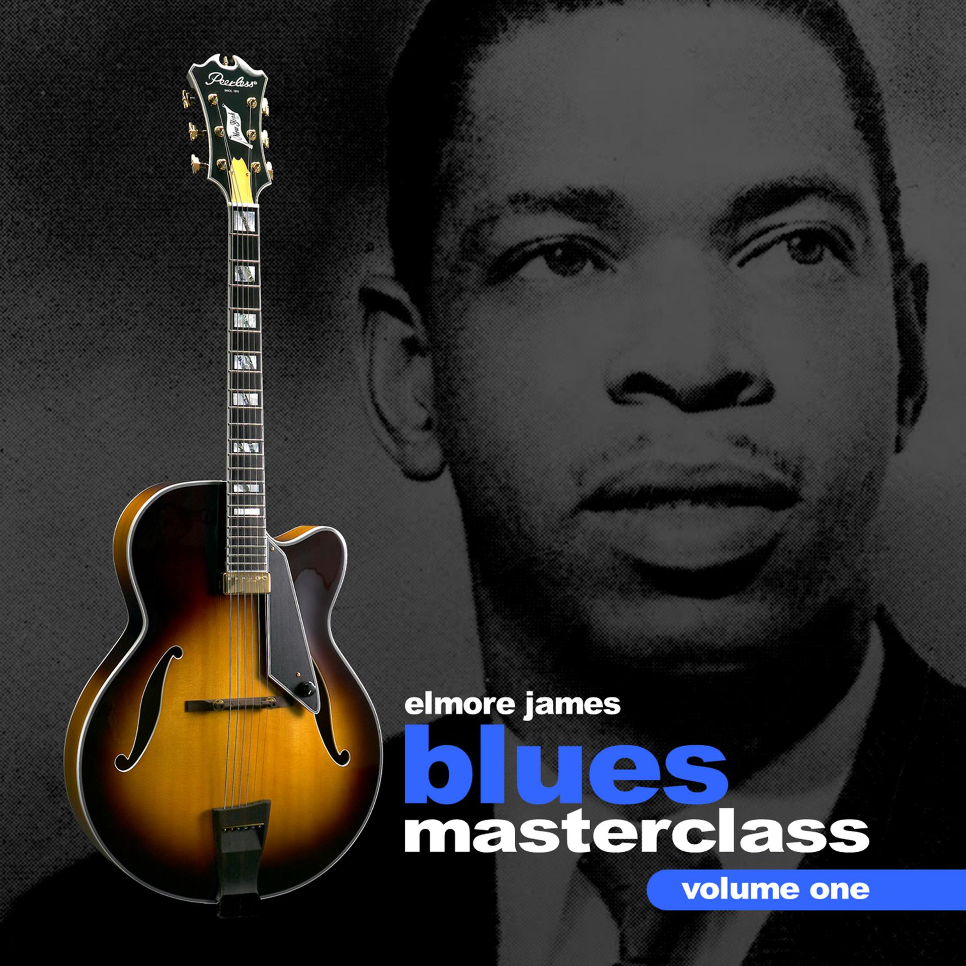 Постер альбома Blues Guitar Masterclass Volume 1