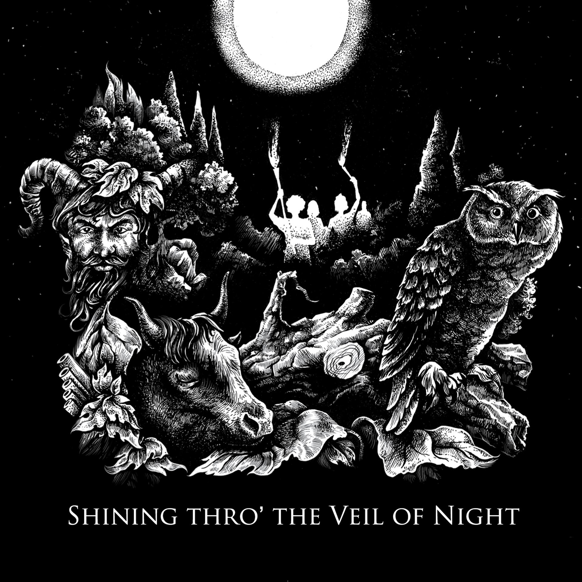 Постер альбома Shining Thro' the Veil of Night