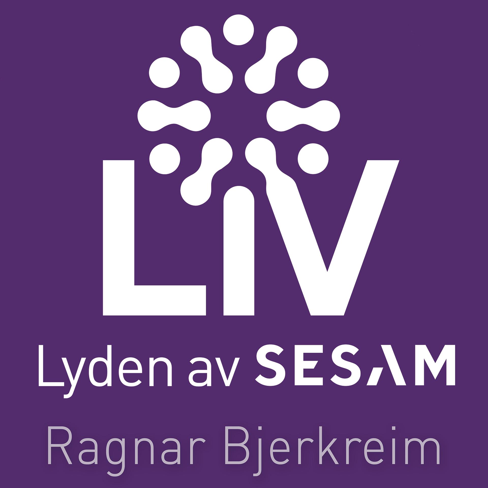 Постер альбома Liv lyden av Sesam