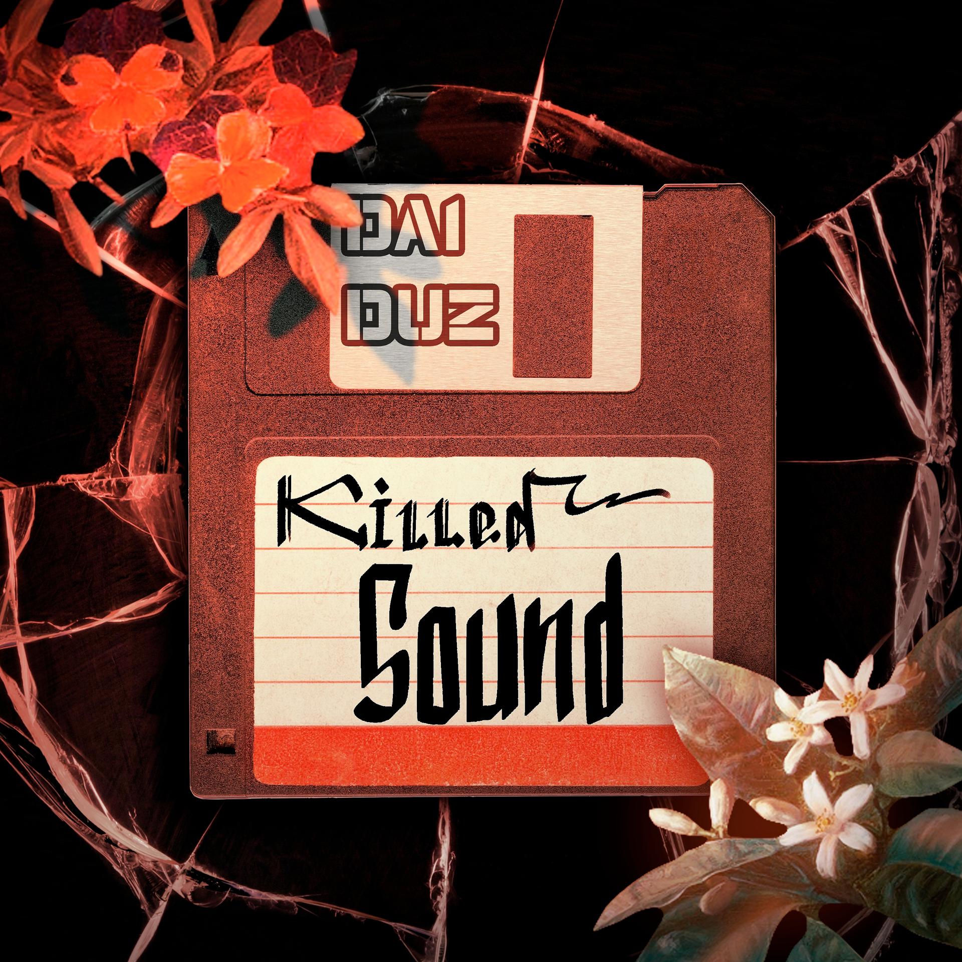 Постер альбома Killed Sound