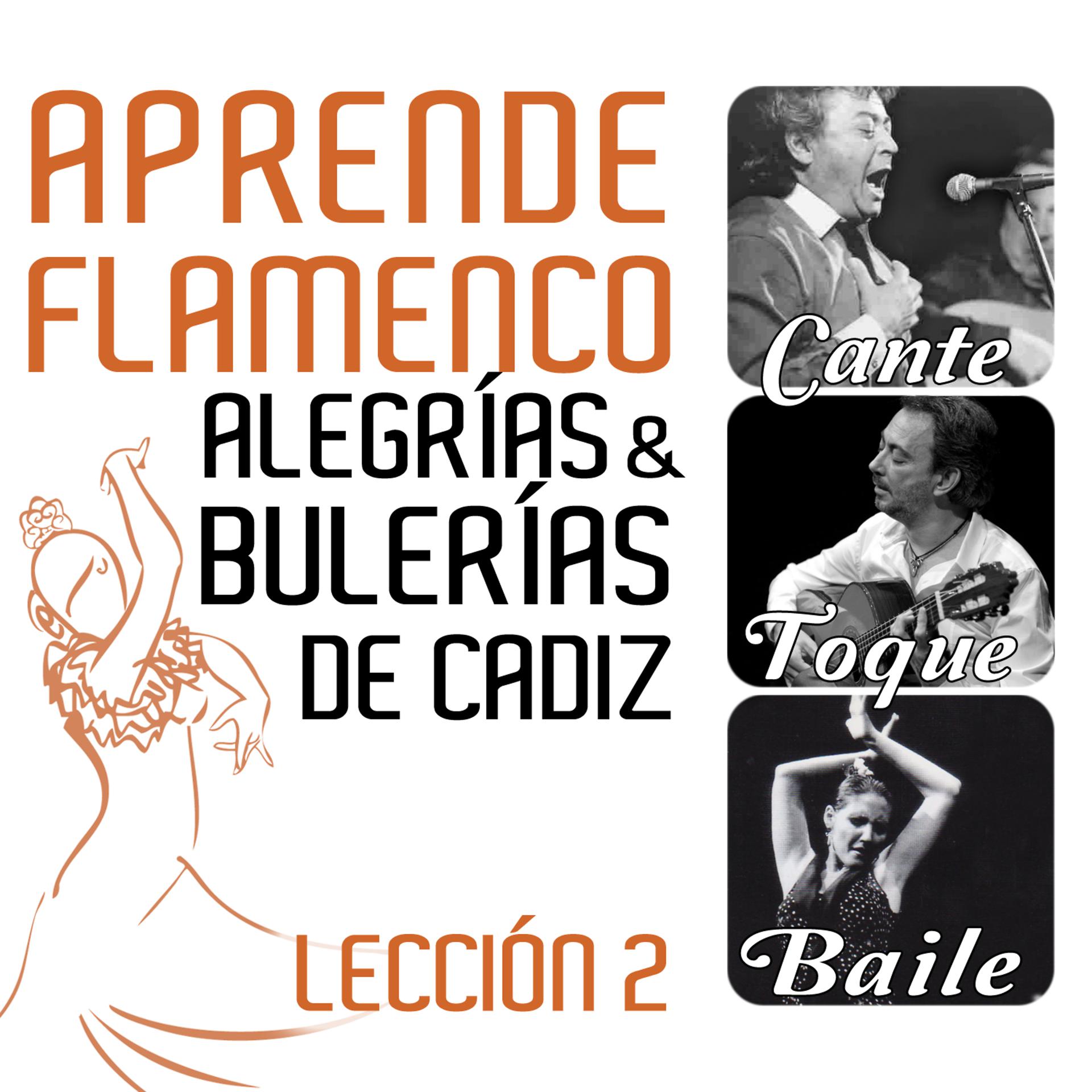 Постер альбома Aprende Flamenco. Alegrías y Bulerias de Cádiz: Lección 2