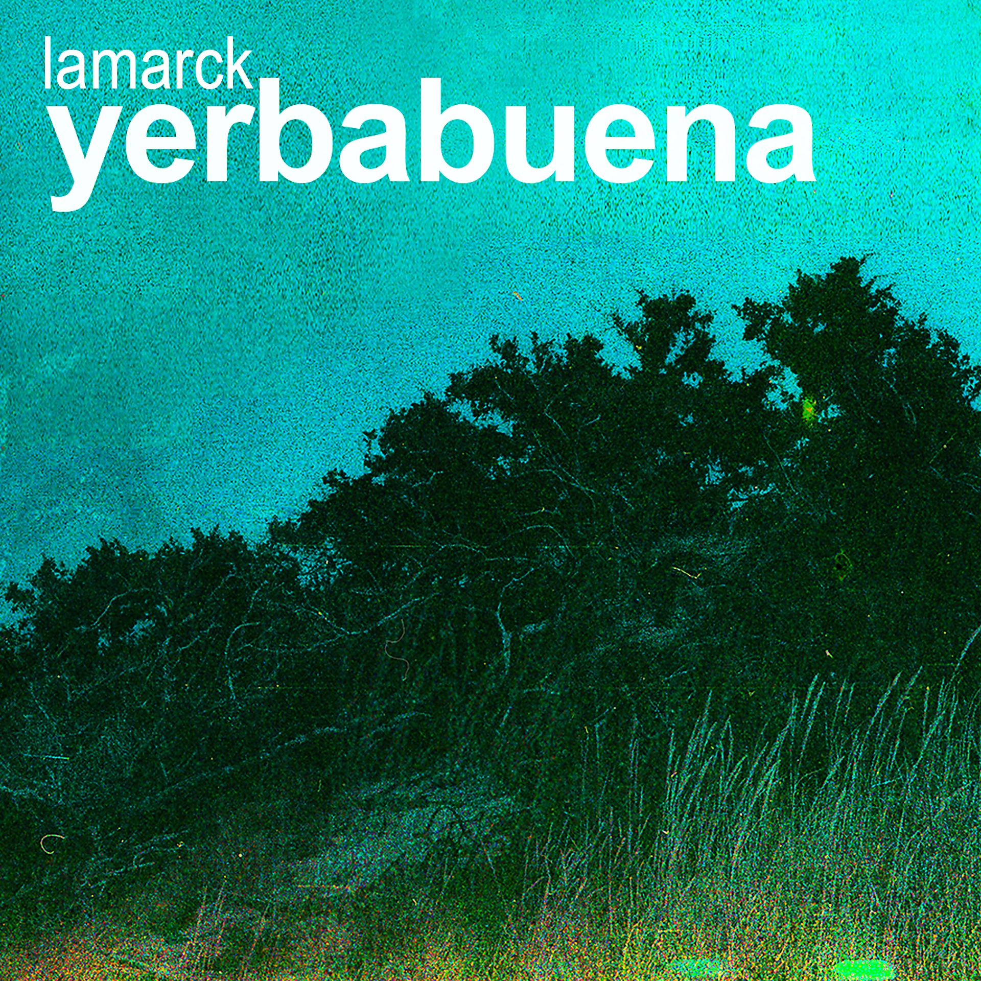 Постер альбома Yerbabuena