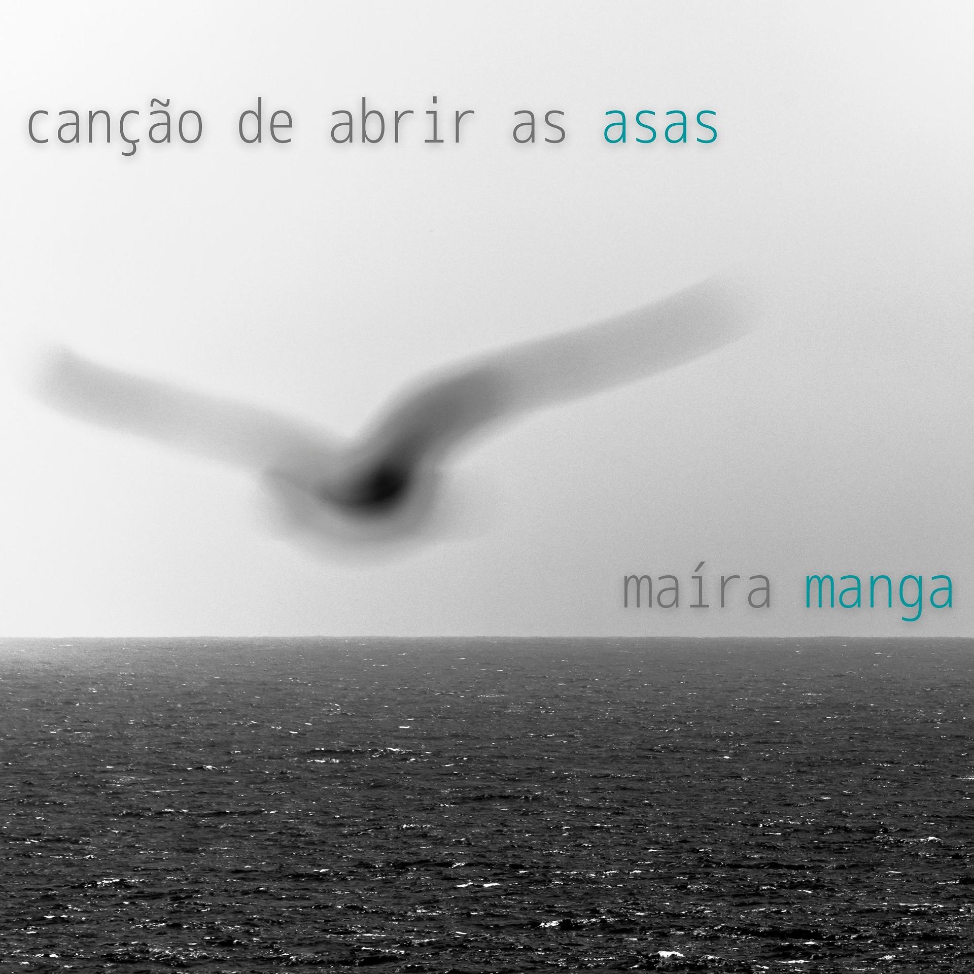 Постер альбома Canção de Abrir As Asas