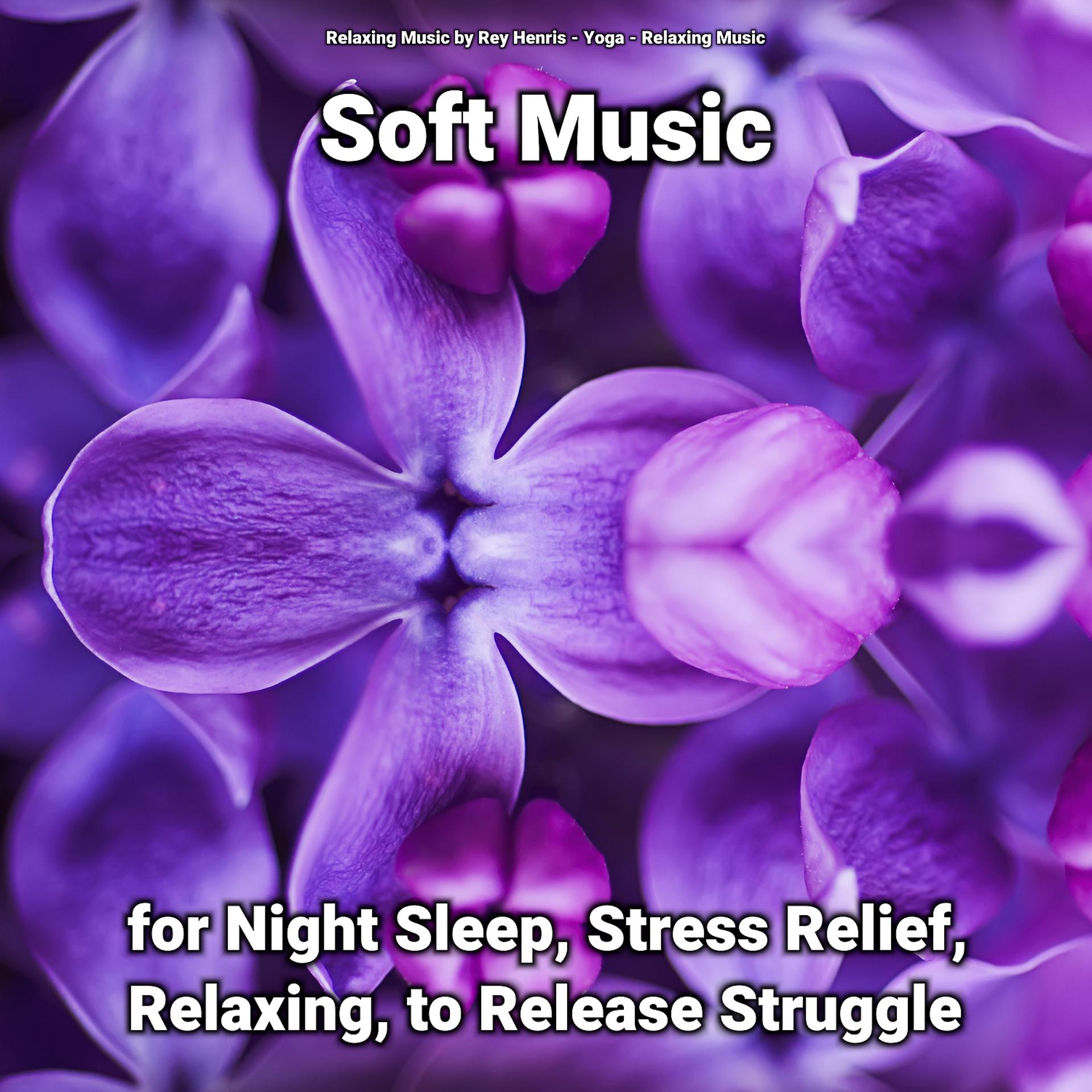Постер альбома Soft Music for Night Sleep, Stress Relief, Relaxing, to Release Struggle