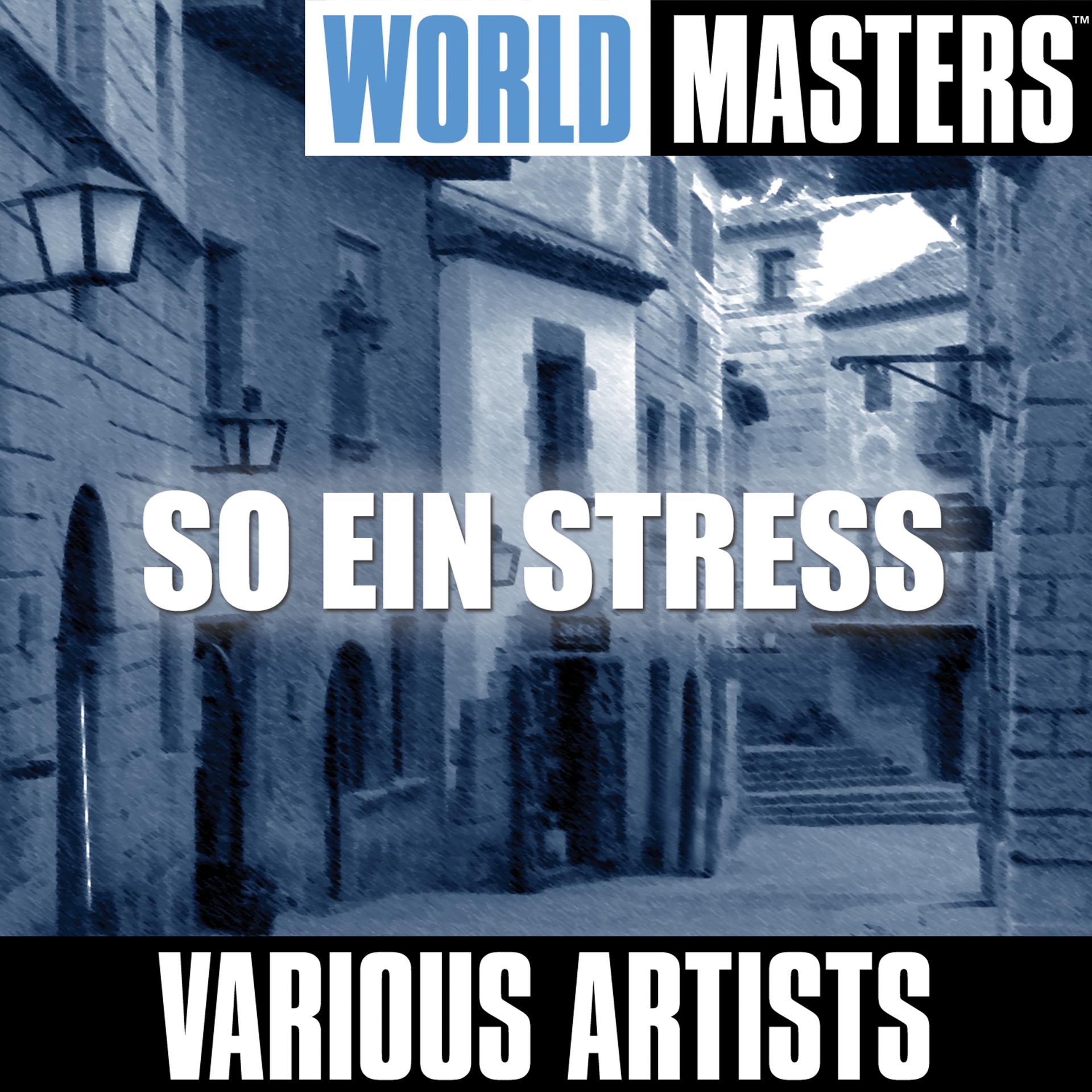 Постер альбома World Masters: So Ein Stress