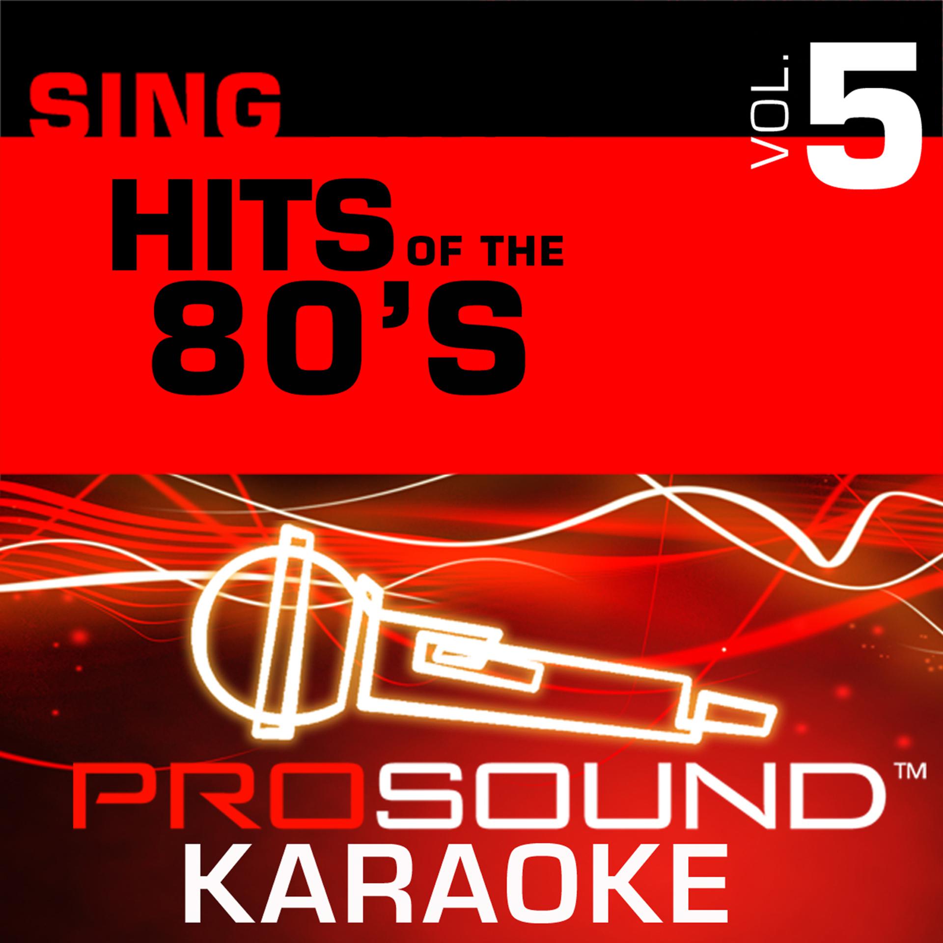 Постер альбома Sing Hits of the 80's v.5 (Karaoke Performance Tracks)
