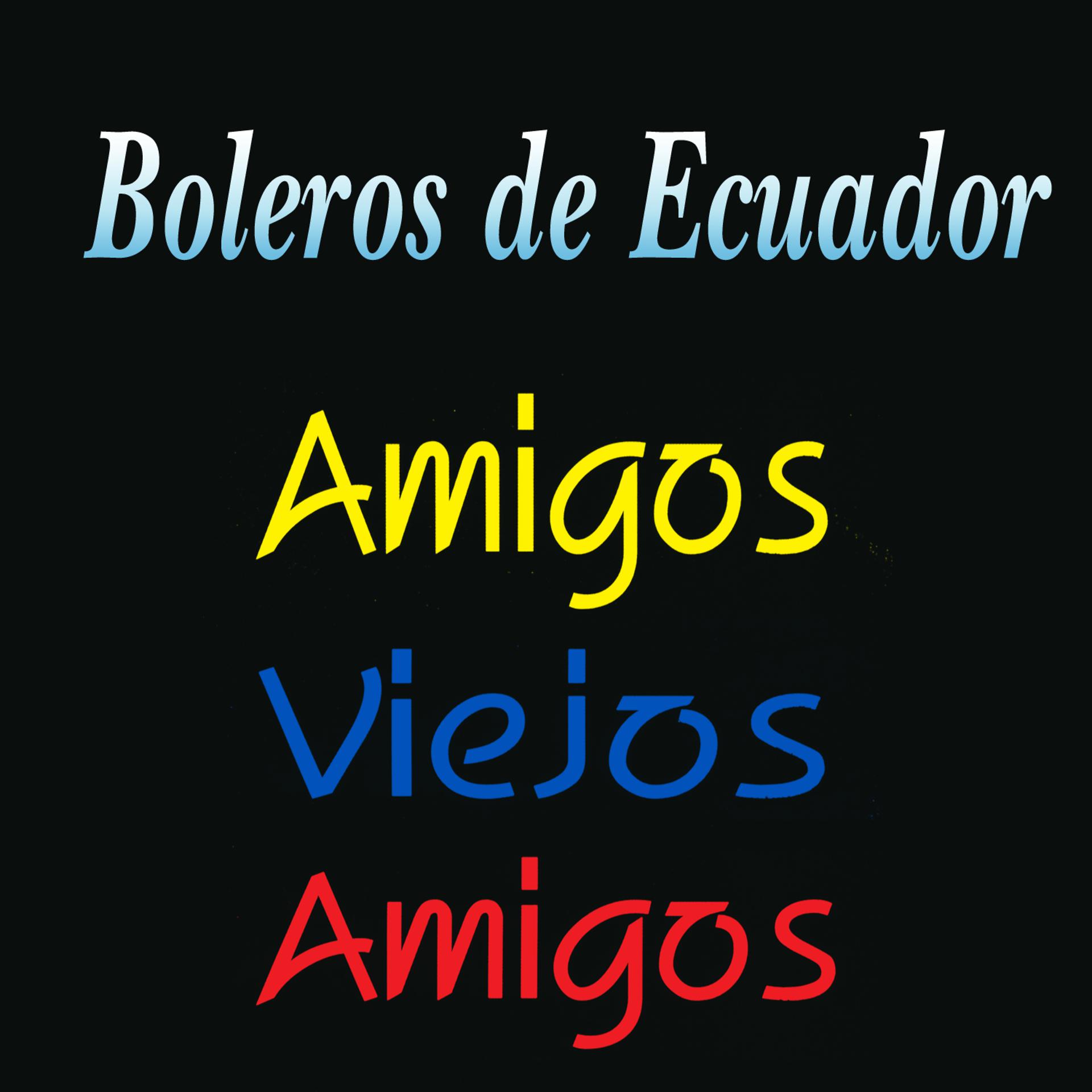 Постер альбома Boleros de Ecuador