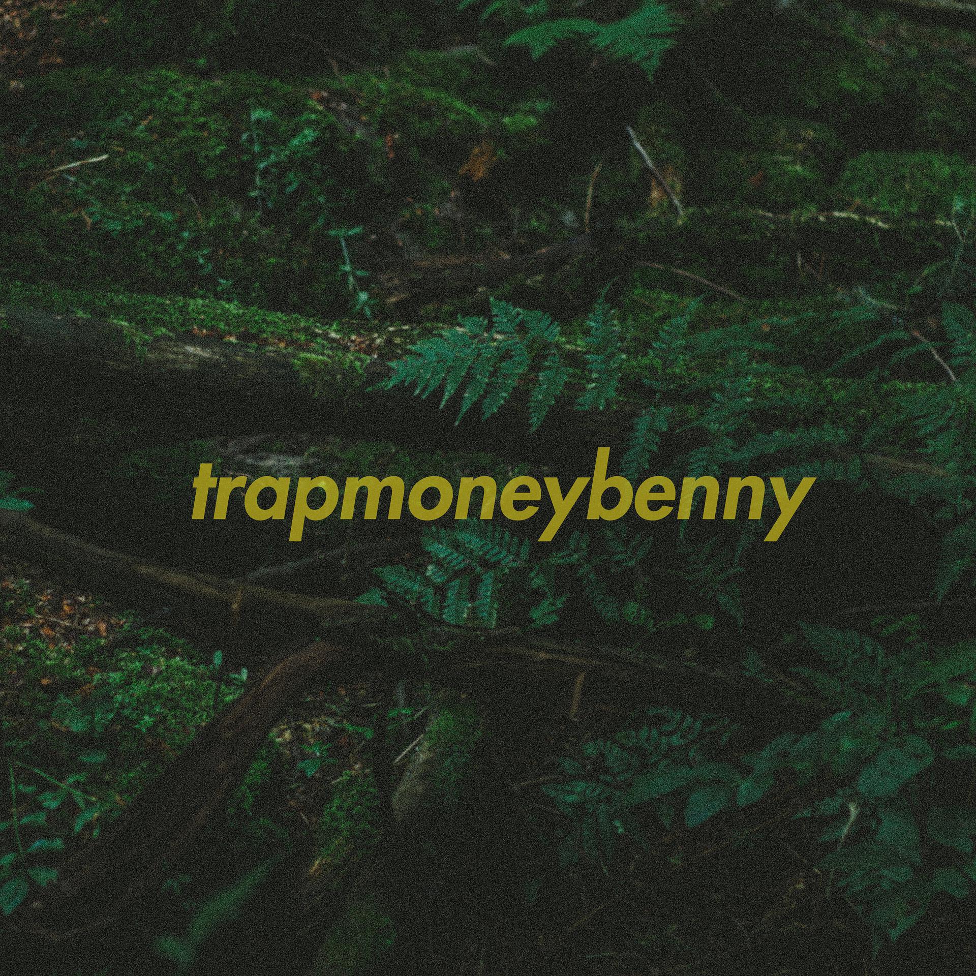 Постер альбома TrapMoneyBenny