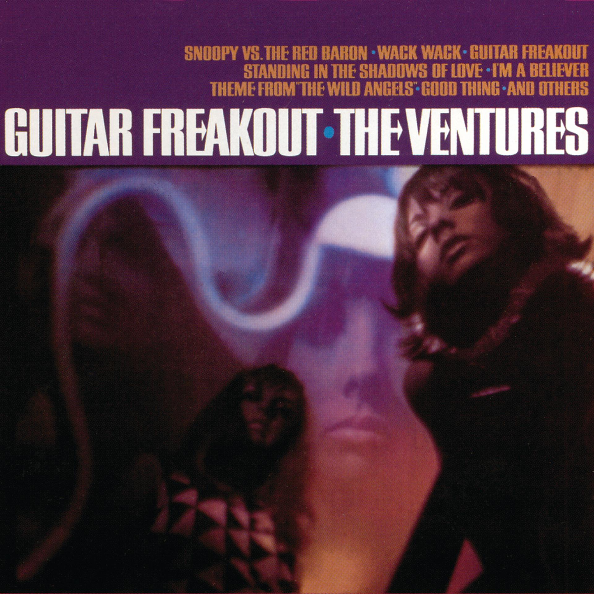 Постер альбома Guitar Freakout