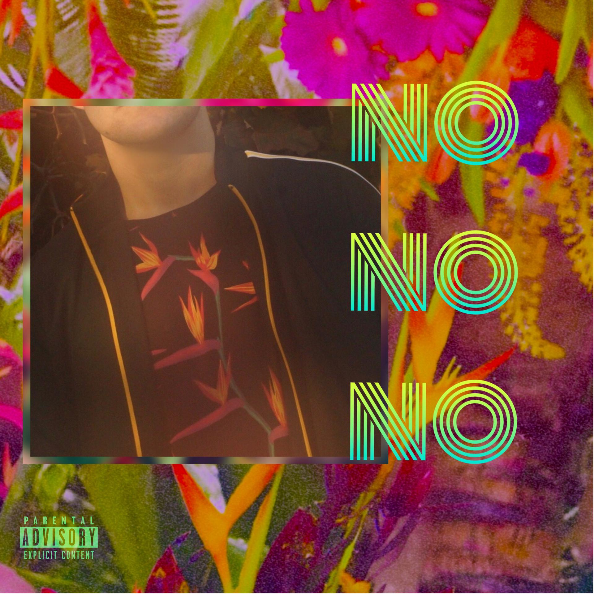 Постер альбома No No No