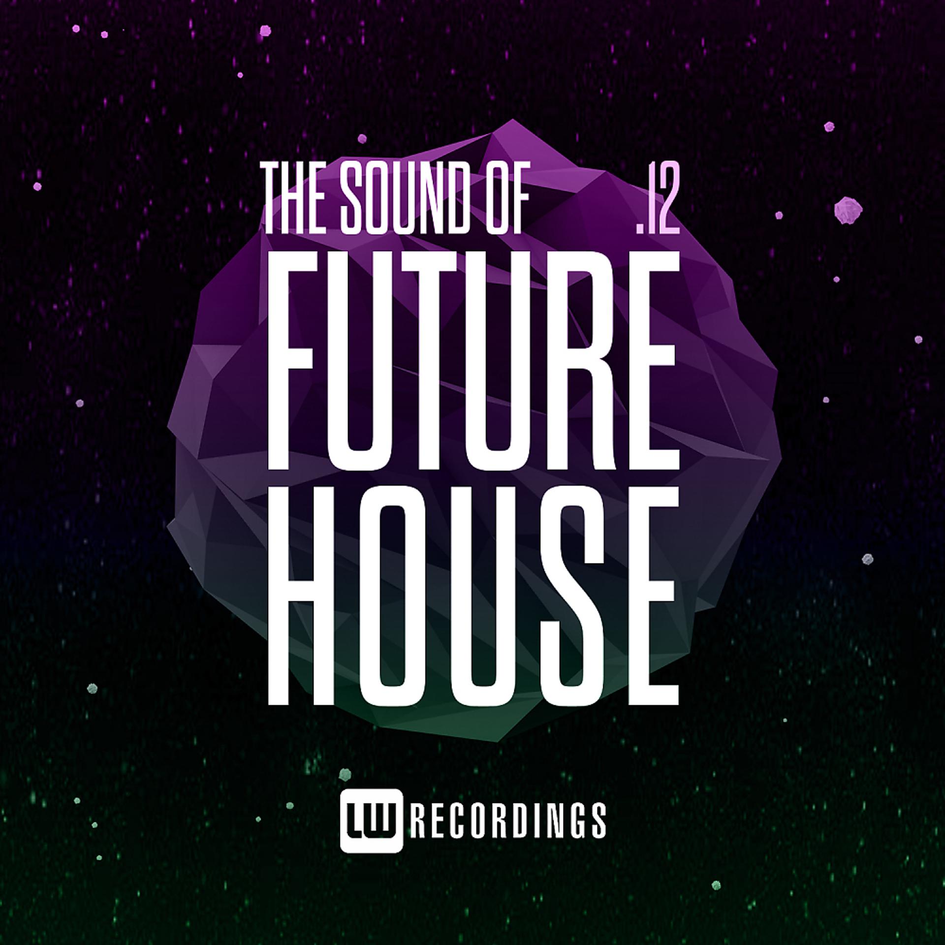 Постер альбома The Sound Of Future House, Vol. 12