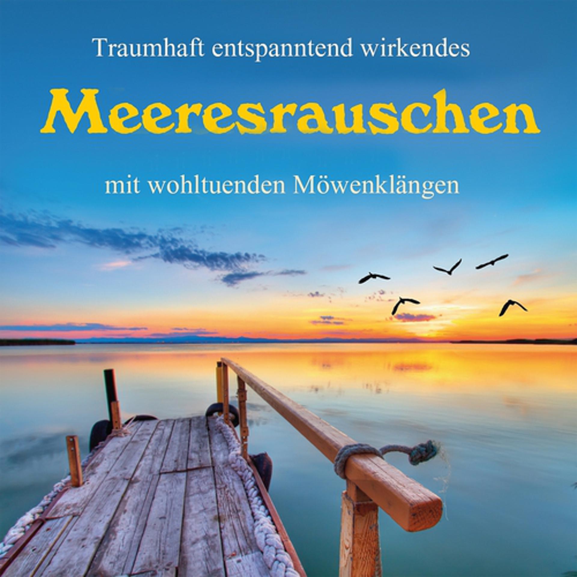 Постер альбома Meeresrauschen mit Möwenklängen