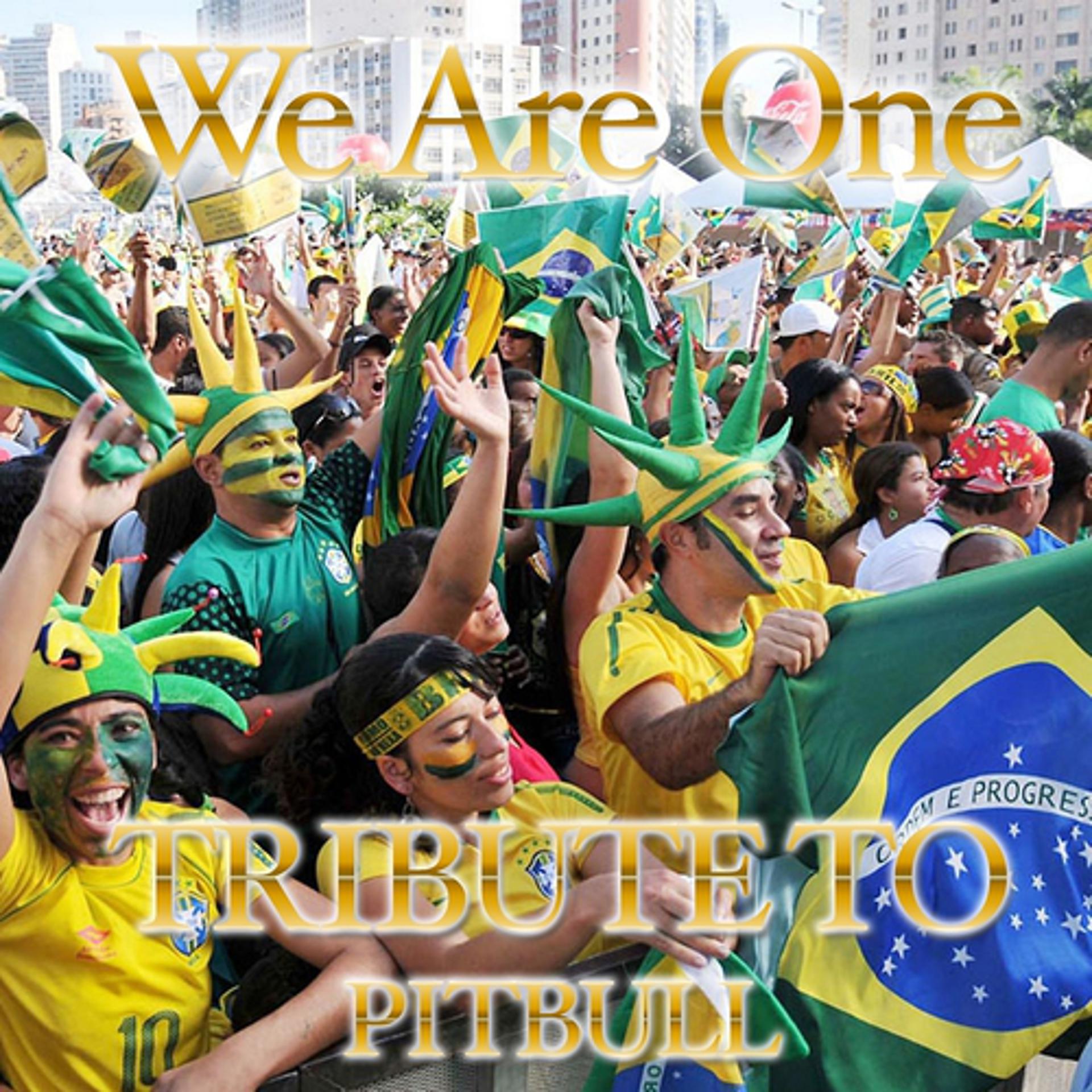 Постер альбома We Are One: Tribute to Pitbull