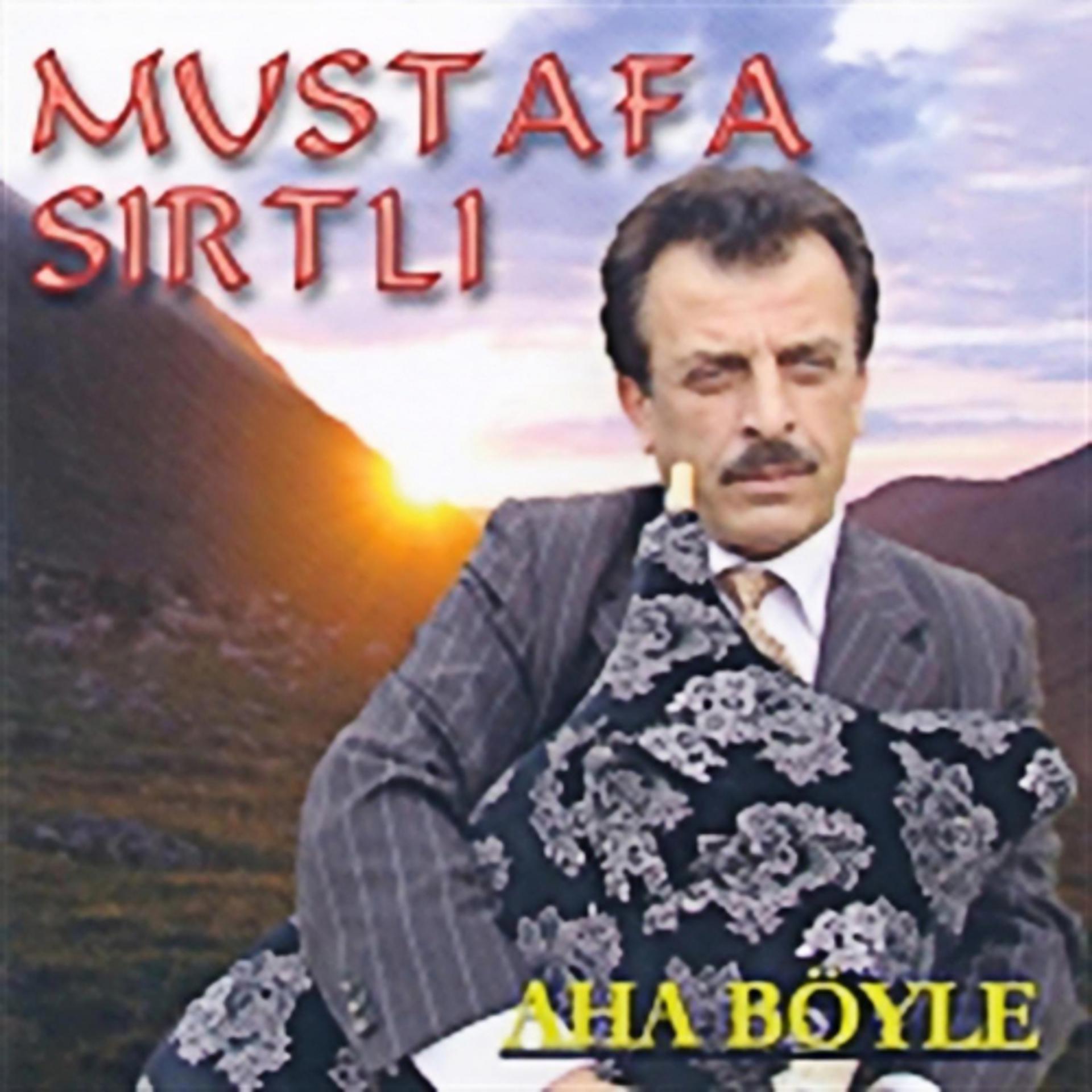 Постер альбома Aha Böyle