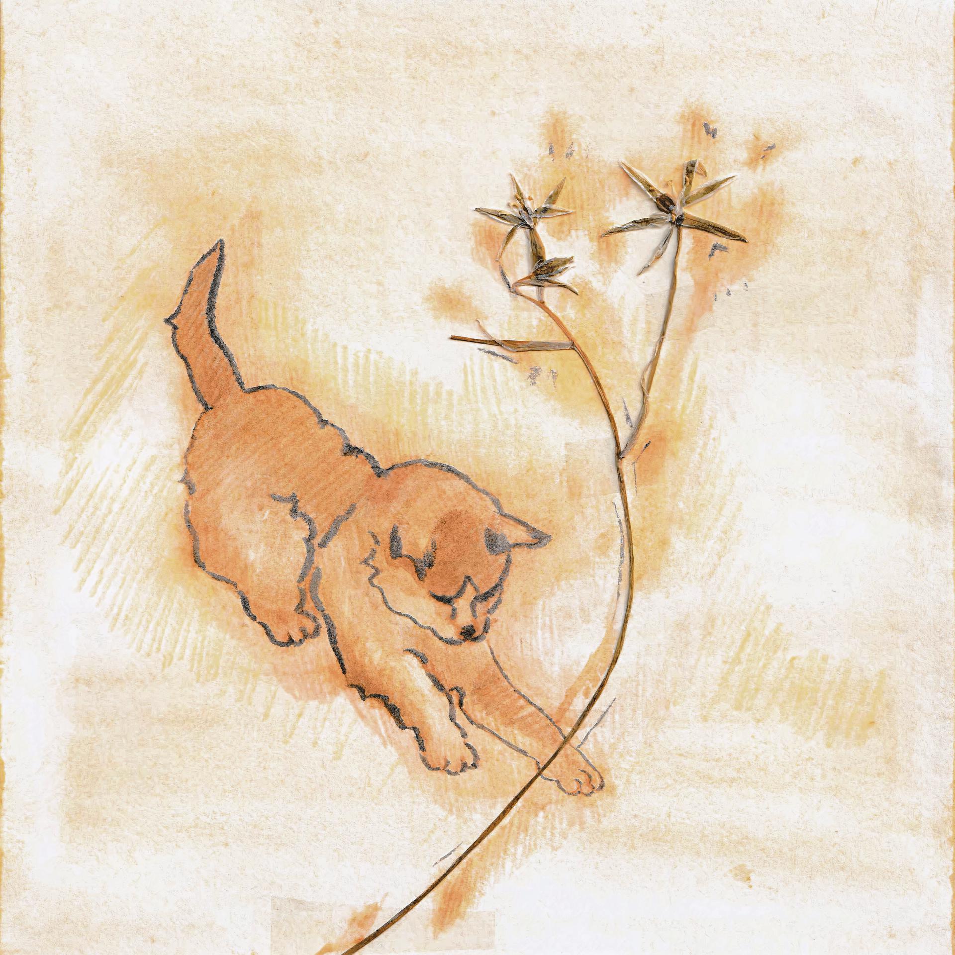 Постер альбома Души щенков и котят