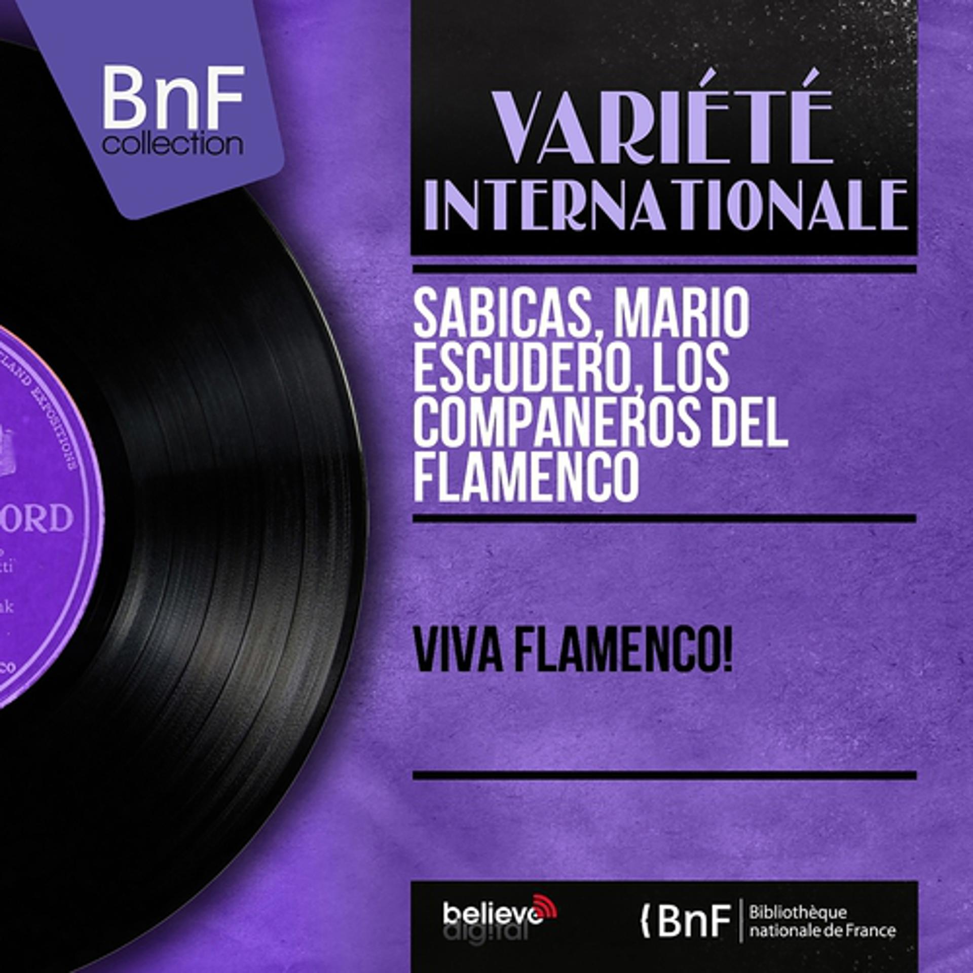 Постер альбома Viva Flamenco! (Mono Version)