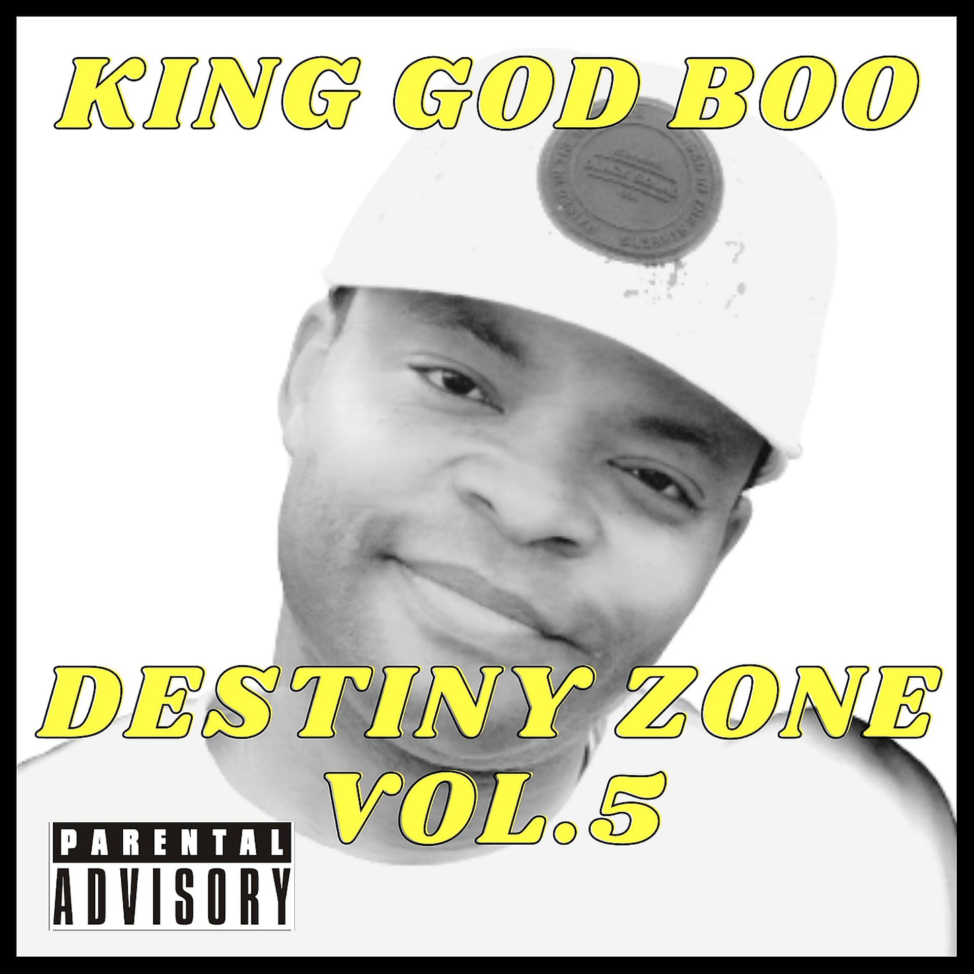 Постер альбома Destiny Zone Vol.5