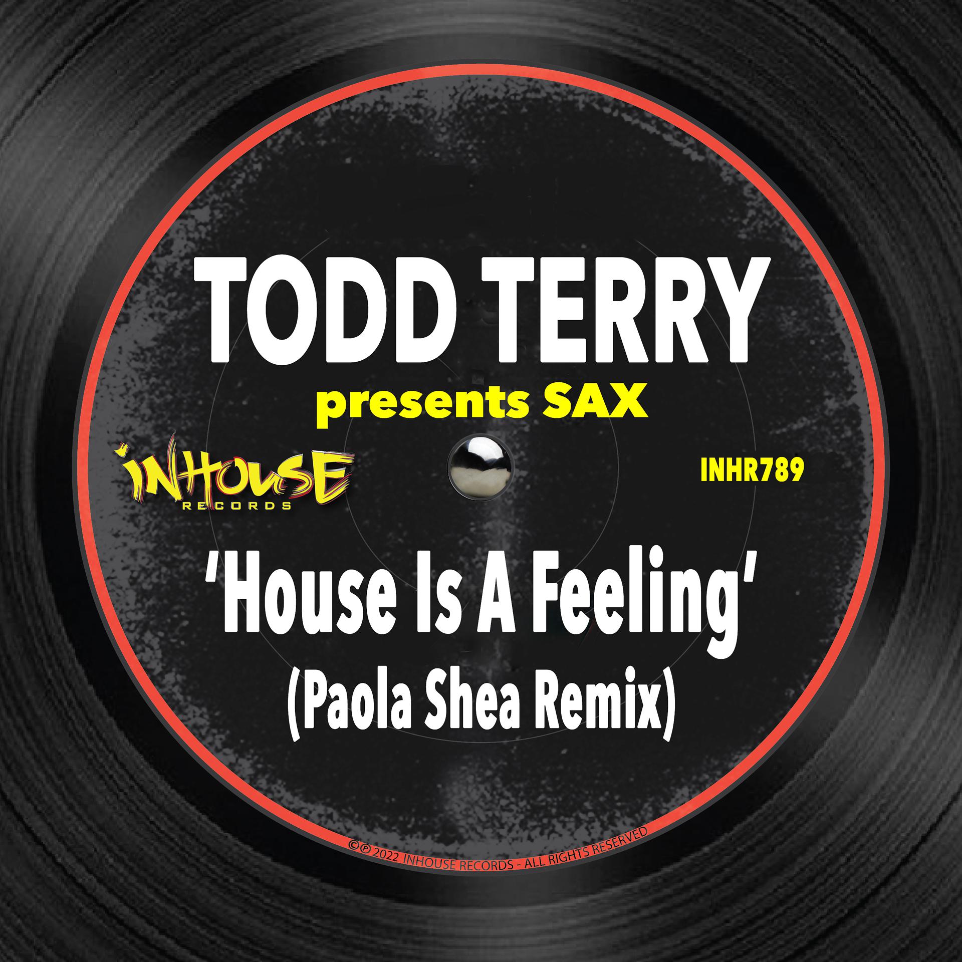 Постер альбома House is a Feeling (Paola Shea Remix)