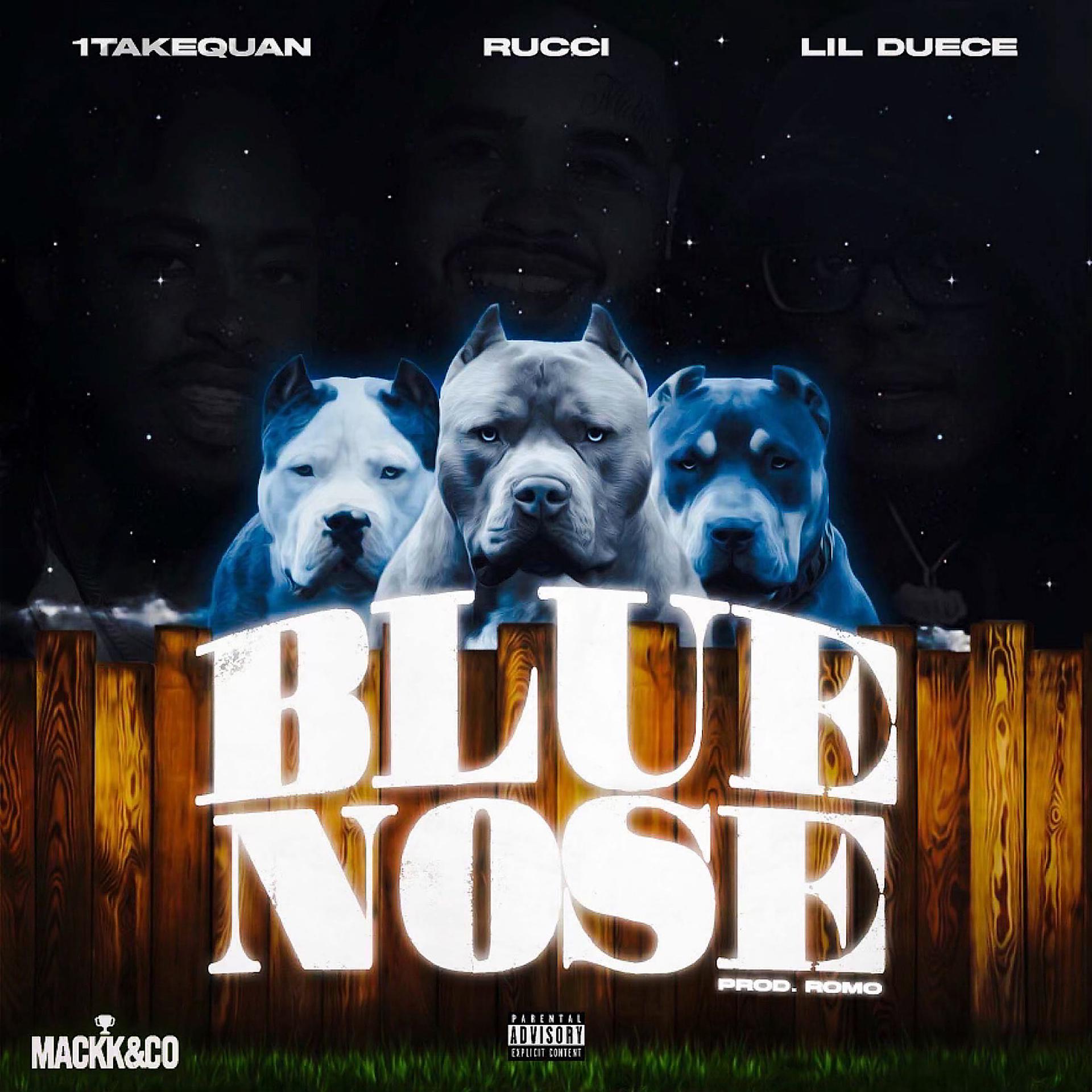 Постер альбома BlueNose