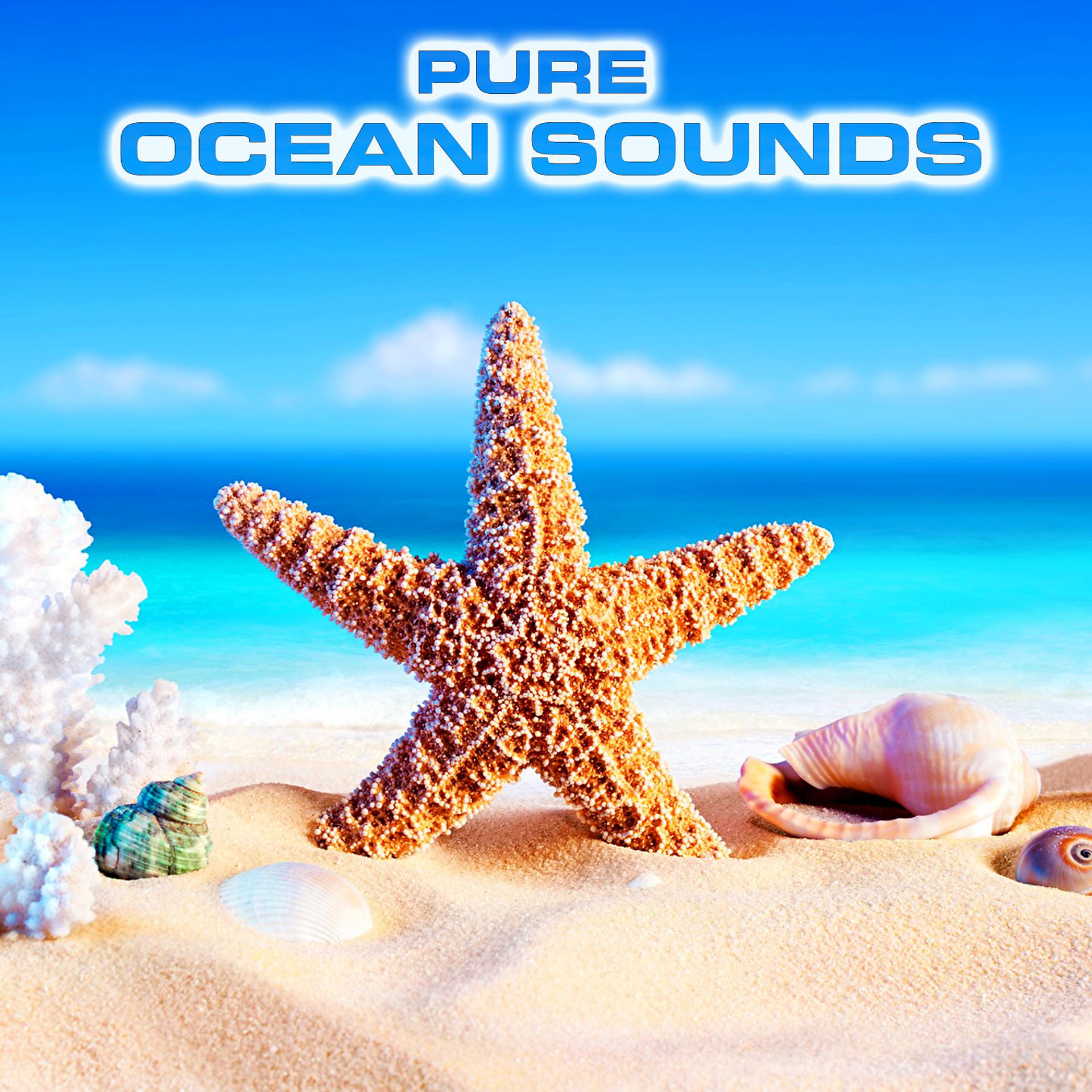 Постер альбома Pure Ocean Sounds (feat. Ocean Atmosphere Sounds, Nature Sounds 3D, Atmospheres Sounds, Water White Noise, Ocean White Noise Sound FX & White Noise Sound FX)