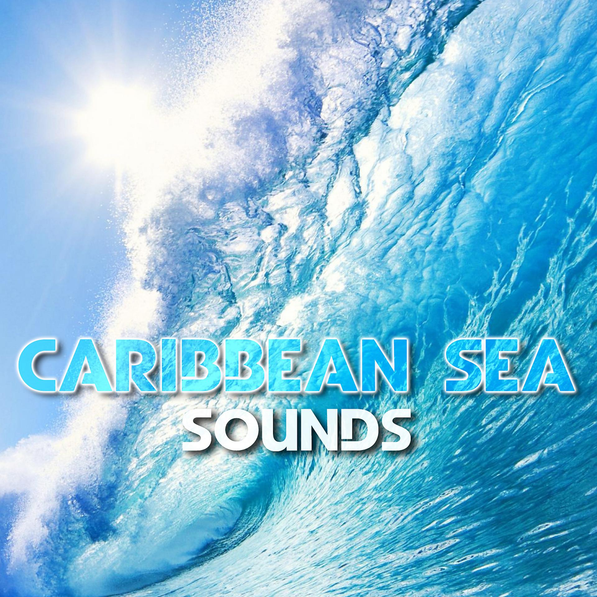 Постер альбома Caribbean Sea Sounds