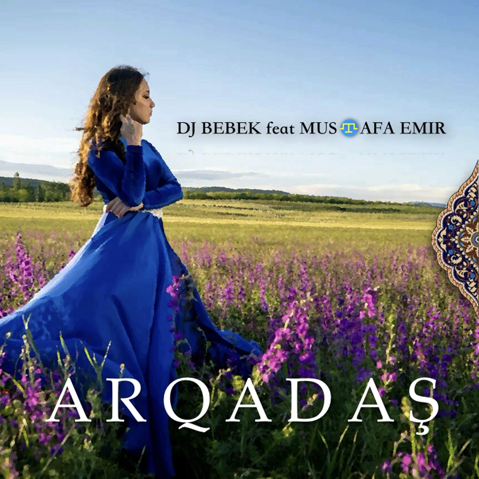 Постер альбома Arqadaş